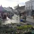 Looking towards Mere Street across some bulbs, A February Miscellany, Diss and Woodbridge, Suffolk - 3rd February 2024