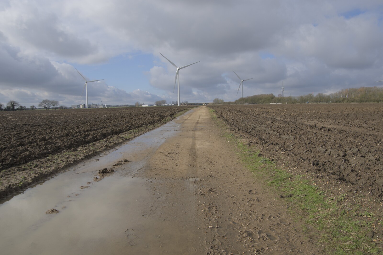 An original perimiter road on Eye Airfield from A Long Walk Around the Airfield, Eye, Suffolk - 11th February 2024