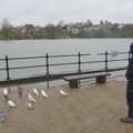 Fred looks at the flooded Mere in Diss, Riddlequest at Sutton Hoo, Woodbridge, Suffolk - 23rd February 2024
