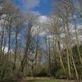Bare early-spring trees reach for the sky, A Return to the Walks, Thornham, Suffolk - 1st April 2024