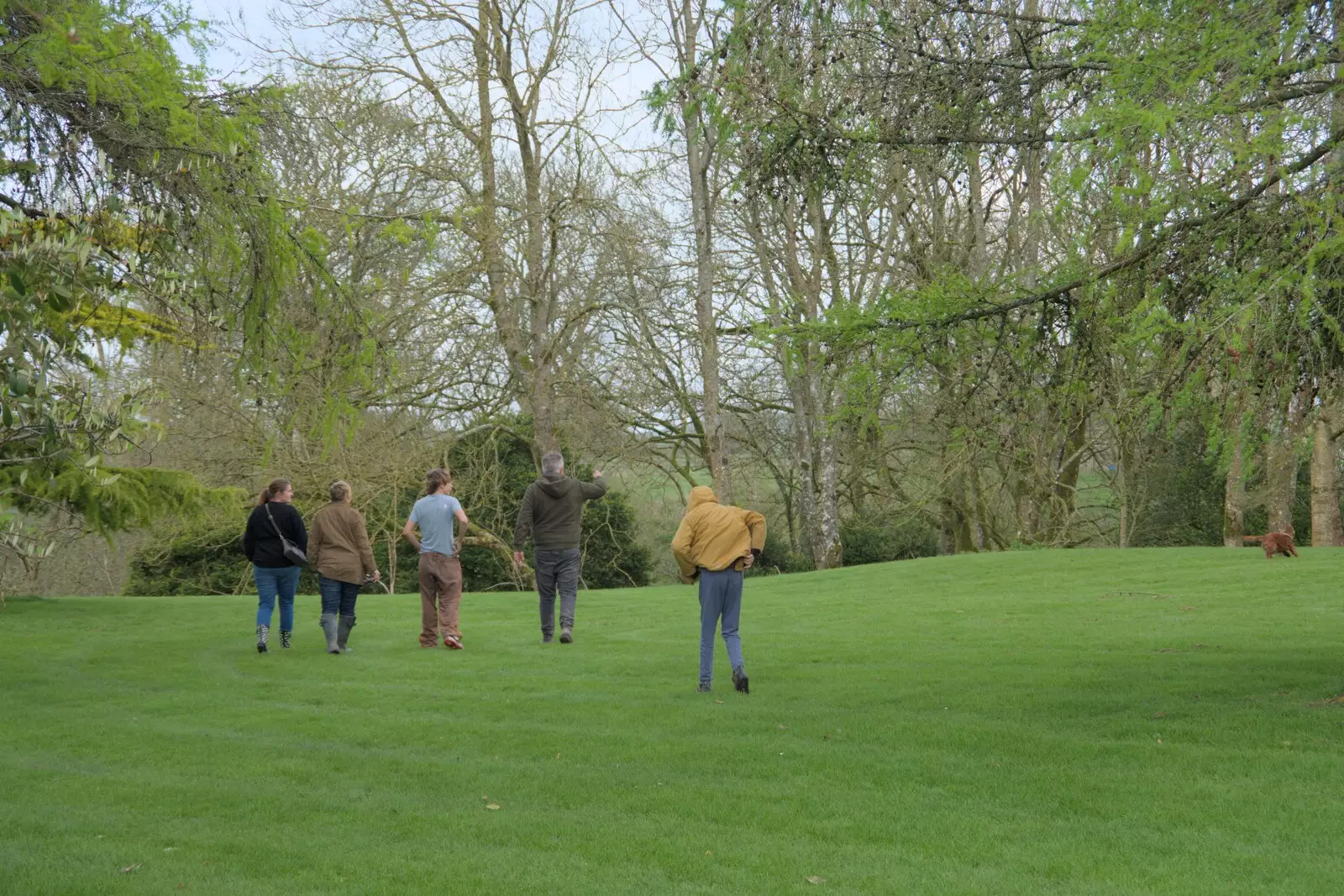 We explore Jules and Mark's 'garden', from A Postcard from Marlborough and a Walk on the Herepath, Avebury, Wiltshire - 8th April 2024