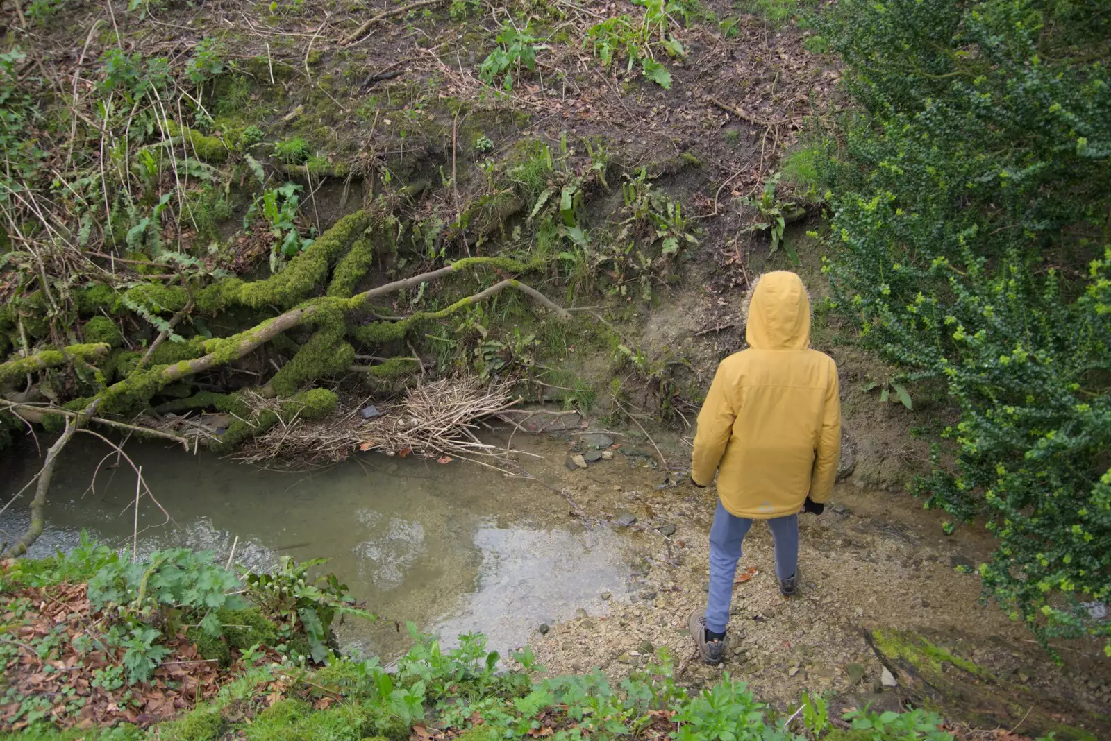 We're exploring down in the ravine, from A Postcard from Marlborough and a Walk on the Herepath, Avebury, Wiltshire - 8th April 2024