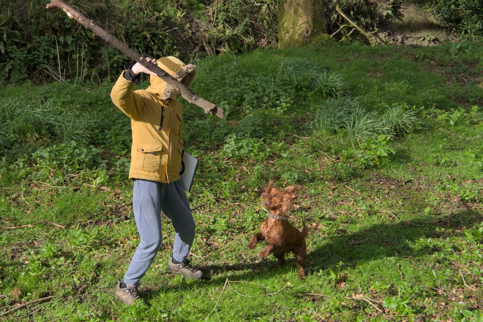 Harry picks up a big stick for the dog, from A Postcard from Marlborough and a Walk on the Herepath, Avebury, Wiltshire - 8th April 2024