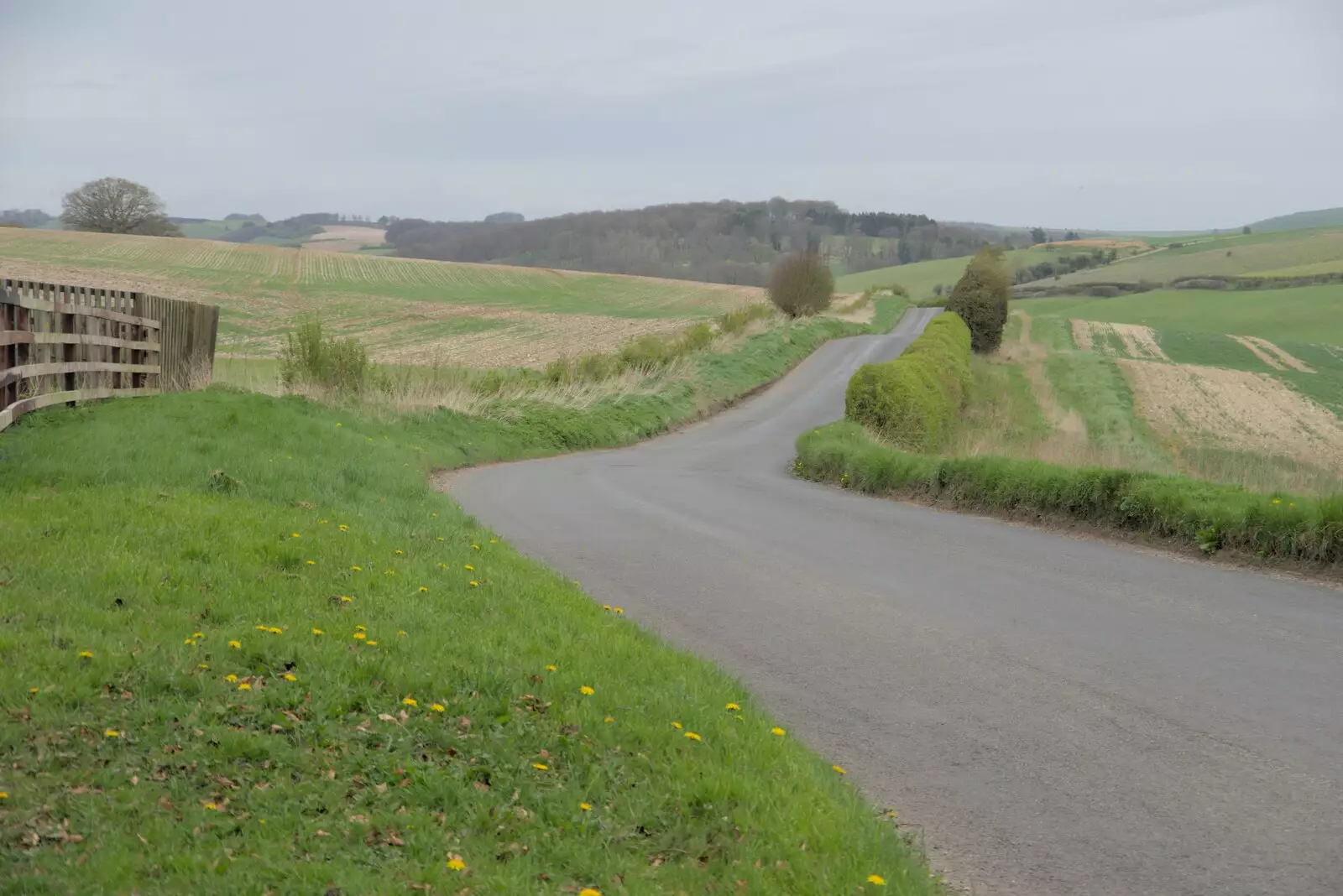 Free's Avenue heads off to Rockley, from A Postcard from Marlborough and a Walk on the Herepath, Avebury, Wiltshire - 8th April 2024