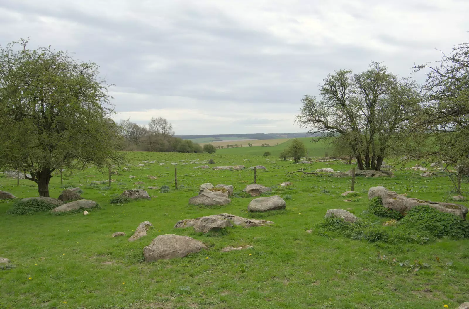 Piles of rocks and hawthorn bushes, from A Postcard from Marlborough and a Walk on the Herepath, Avebury, Wiltshire - 8th April 2024