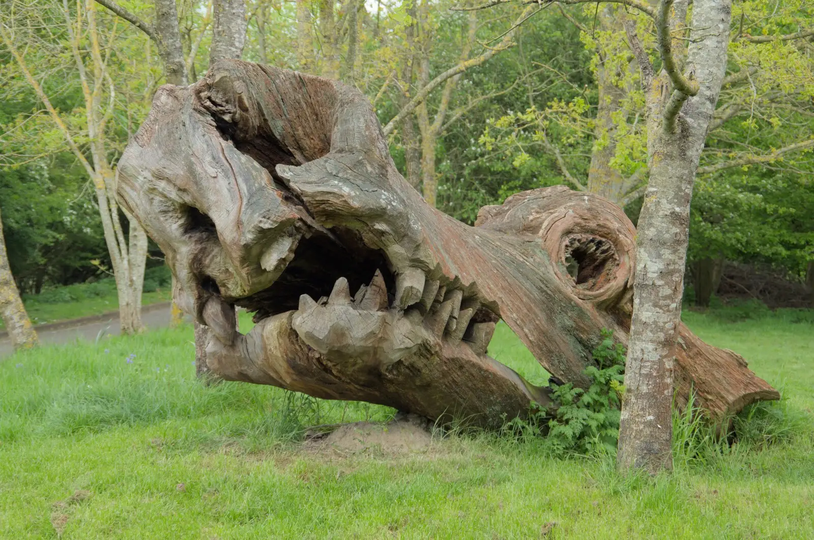 A nice dragon head carved out of a fallen tree, from A Walk to the Crossways Inn, Scole, Norfolk - 21st April 2024