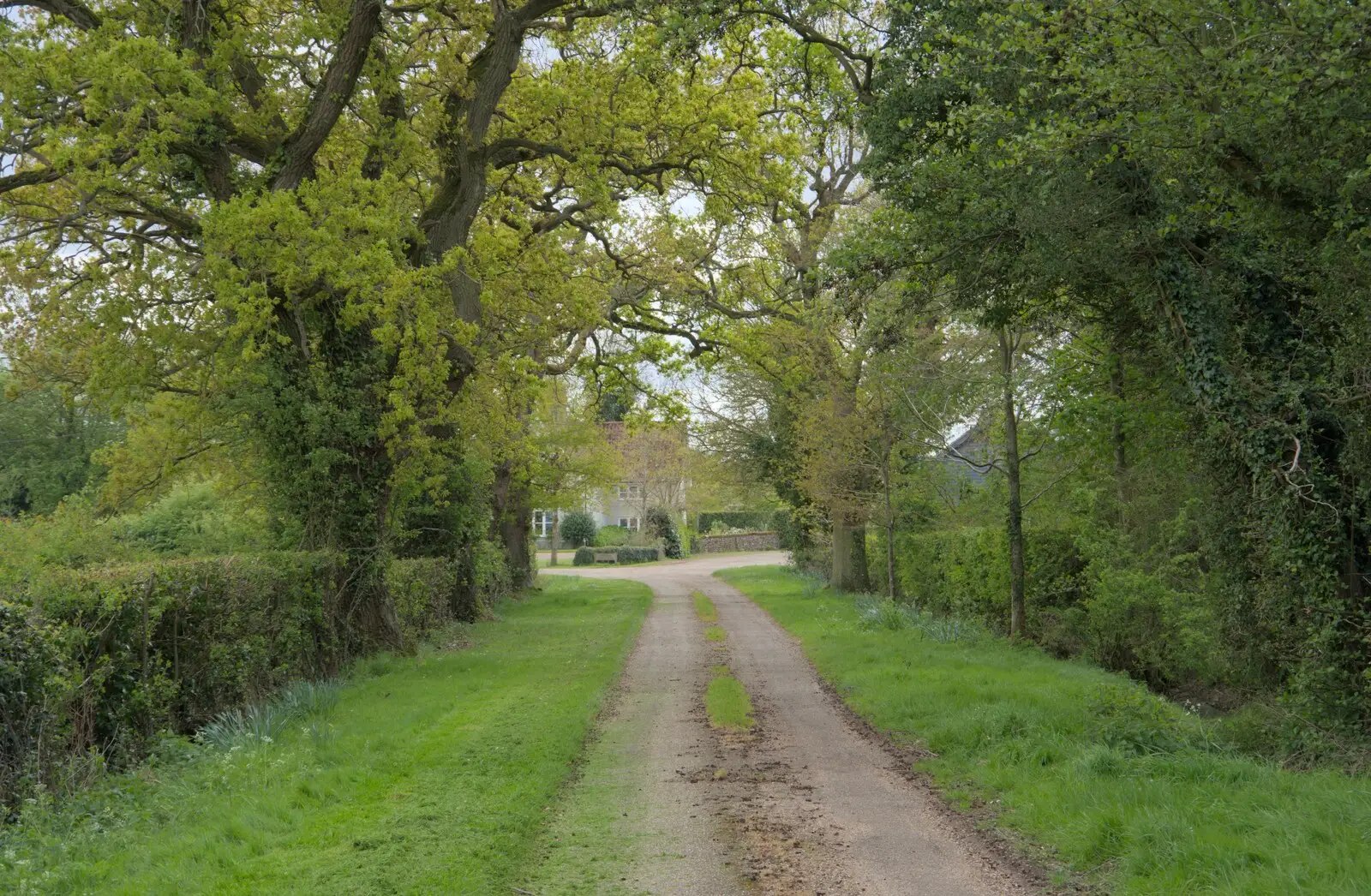 Up the drive to Warren Hills, from A Walk to the Crossways Inn, Scole, Norfolk - 21st April 2024