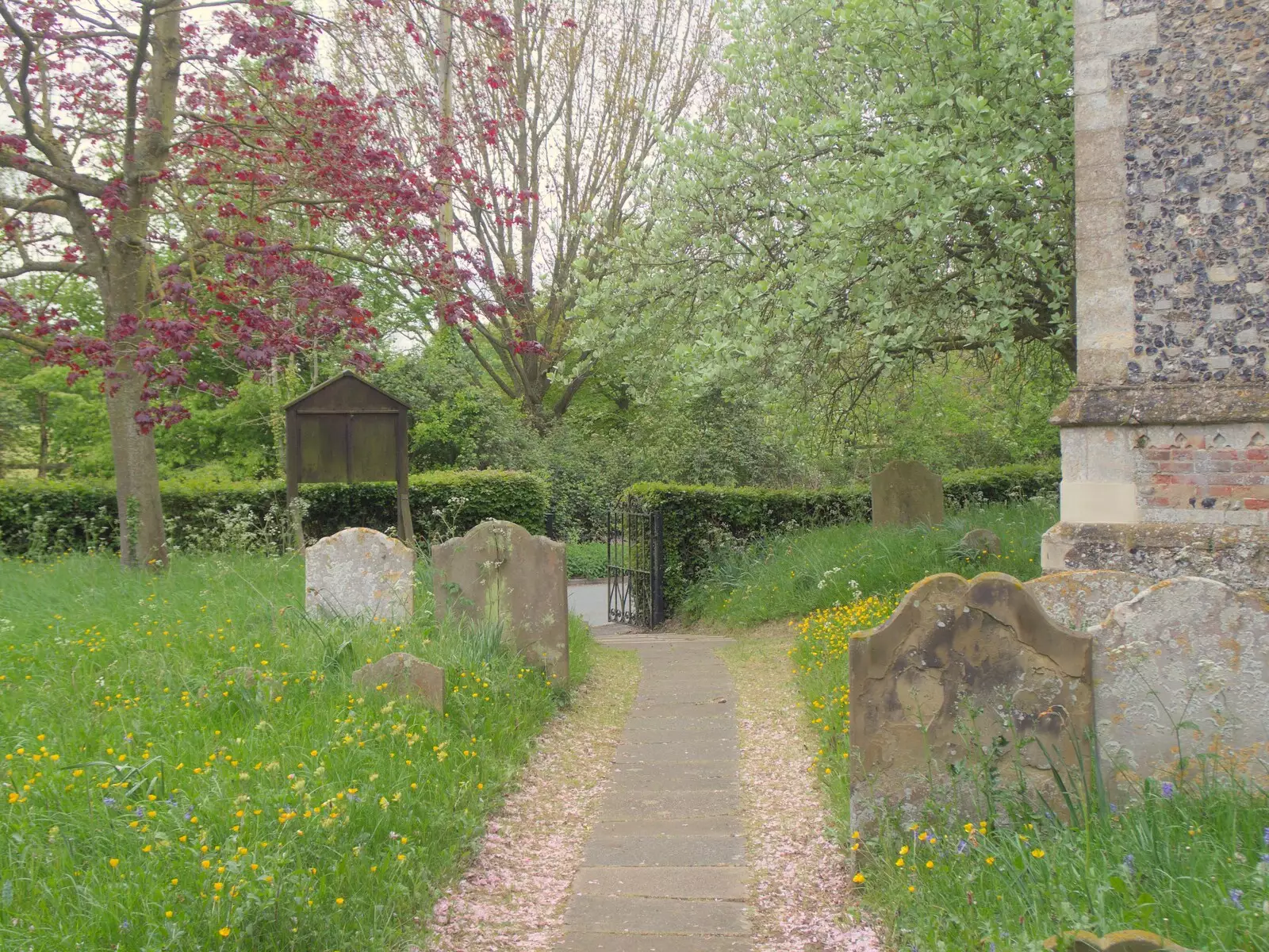 Another view of the pleasant churchyard, from A Postcard From Horham, Suffolk - 27th April 2024