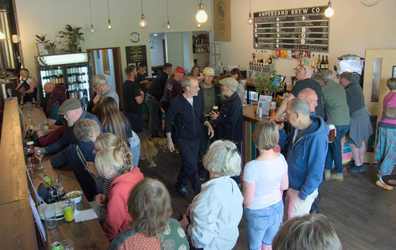 Ampersand's tap-room bar, from A May Miscellany and The Harvs at Ampersand, Diss - 9th May 2024