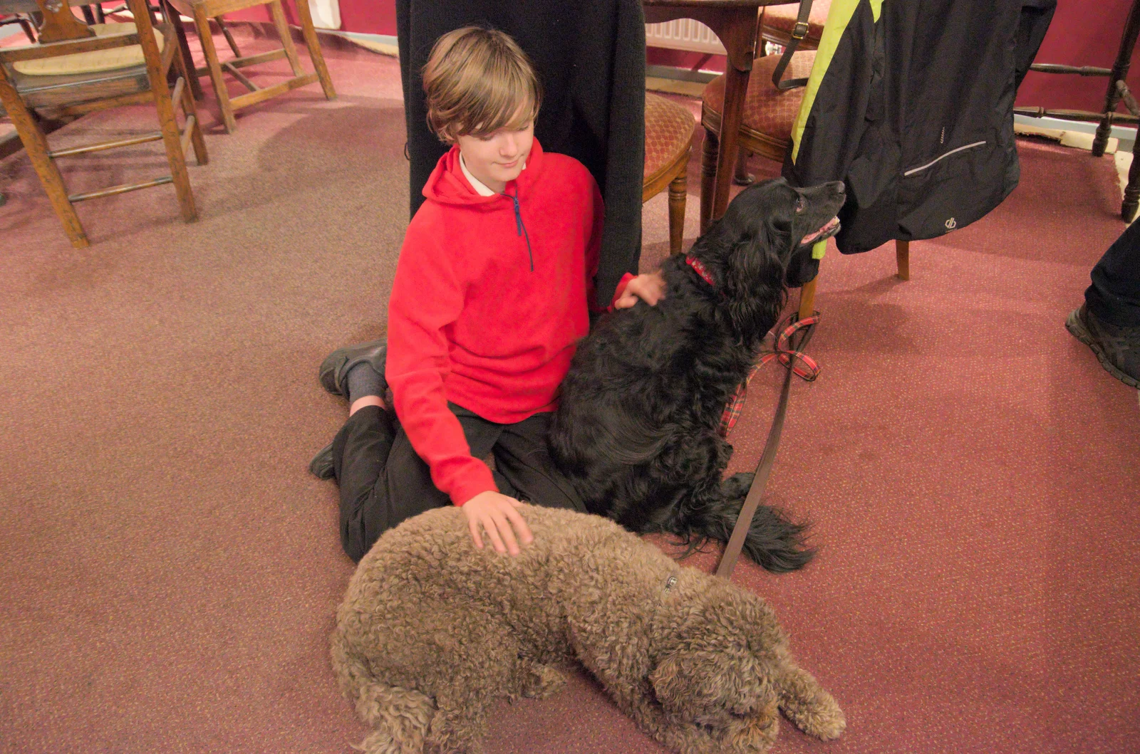 Harry interacts with Carpet Doge, from The Northern Lights and a Pool Tournament, Brome, Suffolk - 10th May 2024