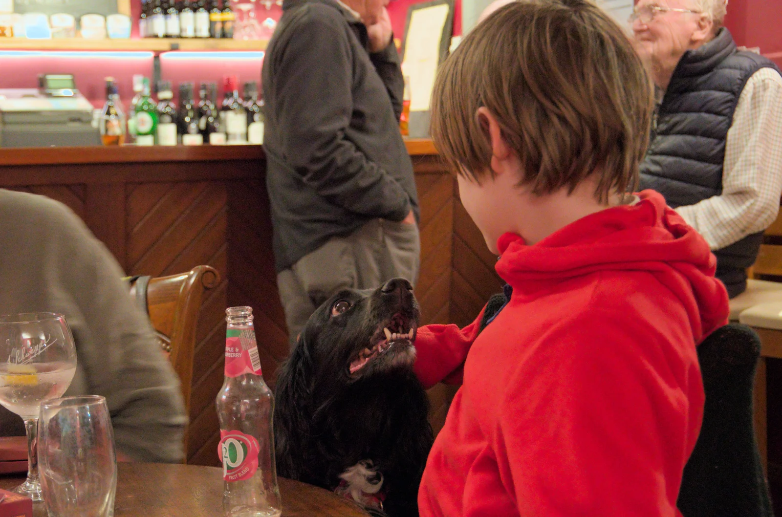 Harry gets a go of the other dog, from The Northern Lights and a Pool Tournament, Brome, Suffolk - 10th May 2024