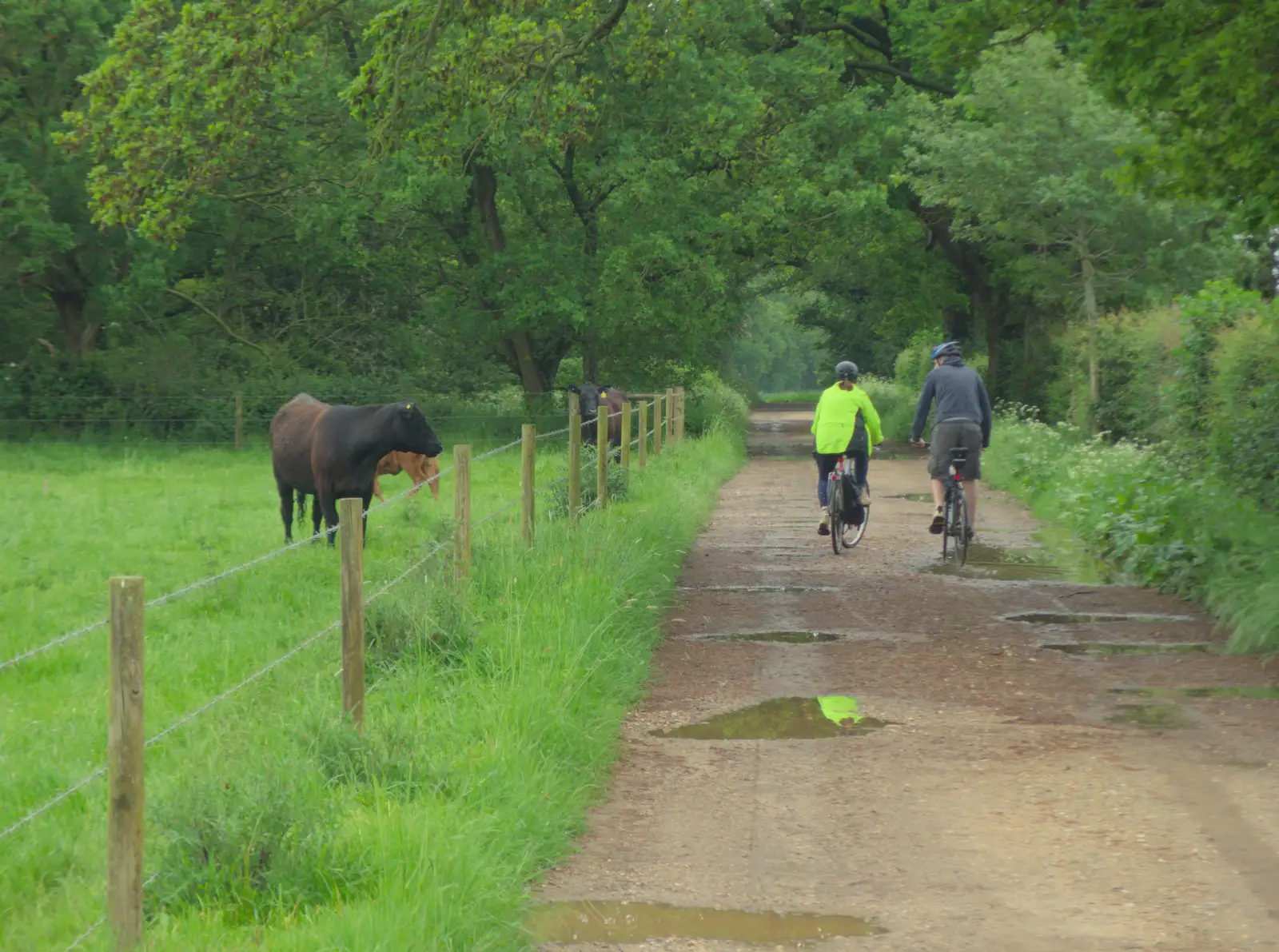 Cycling through Dovehouse Plantation, from The BSCC at The Half Moon, Rushall, Norfolk - 16th May 2024