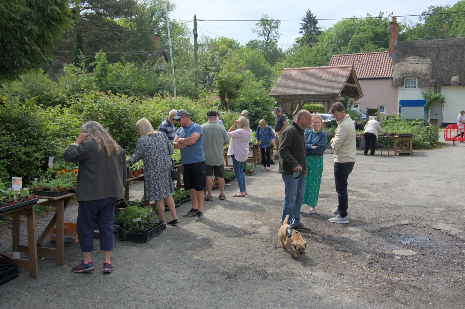 There's a good crowd browsing the plants, from The Village Hall Plant Sale, and a New Dinghy, Weybread, Norfolk - 19th May 2024