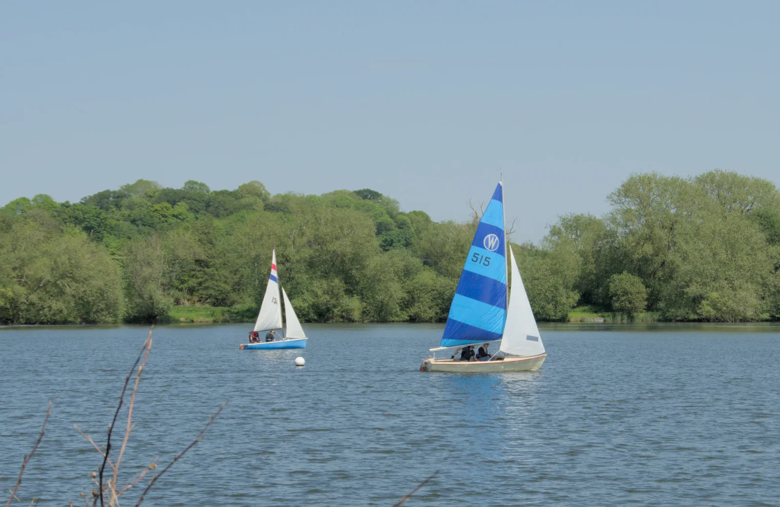 We chase after a Wanderer, from The Village Hall Plant Sale, and a New Dinghy, Weybread, Norfolk - 19th May 2024