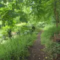 A convenient path skirts around the flooded road, A Trip to Beccles, and the BSCC at The Greyhound, Botesdale, Suffolk - 23rd May 2024