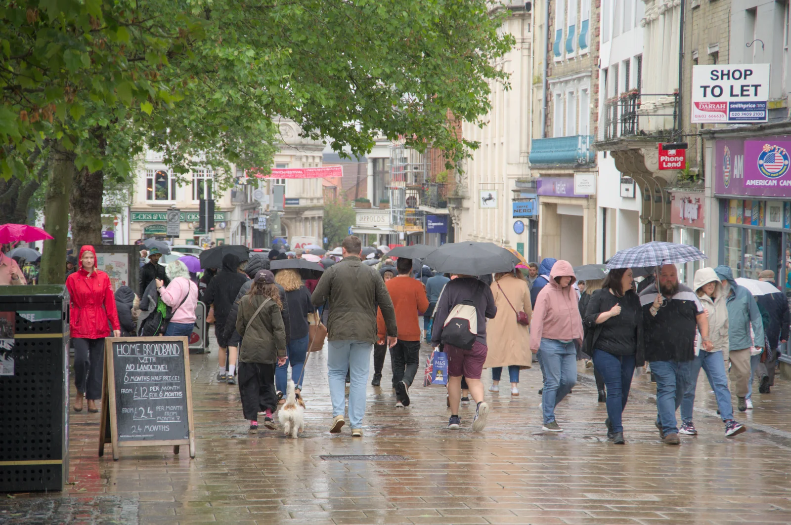 The umbrellas of Norwich, from Birthday Shopping in the Rain, Norwich - 25th May 2024