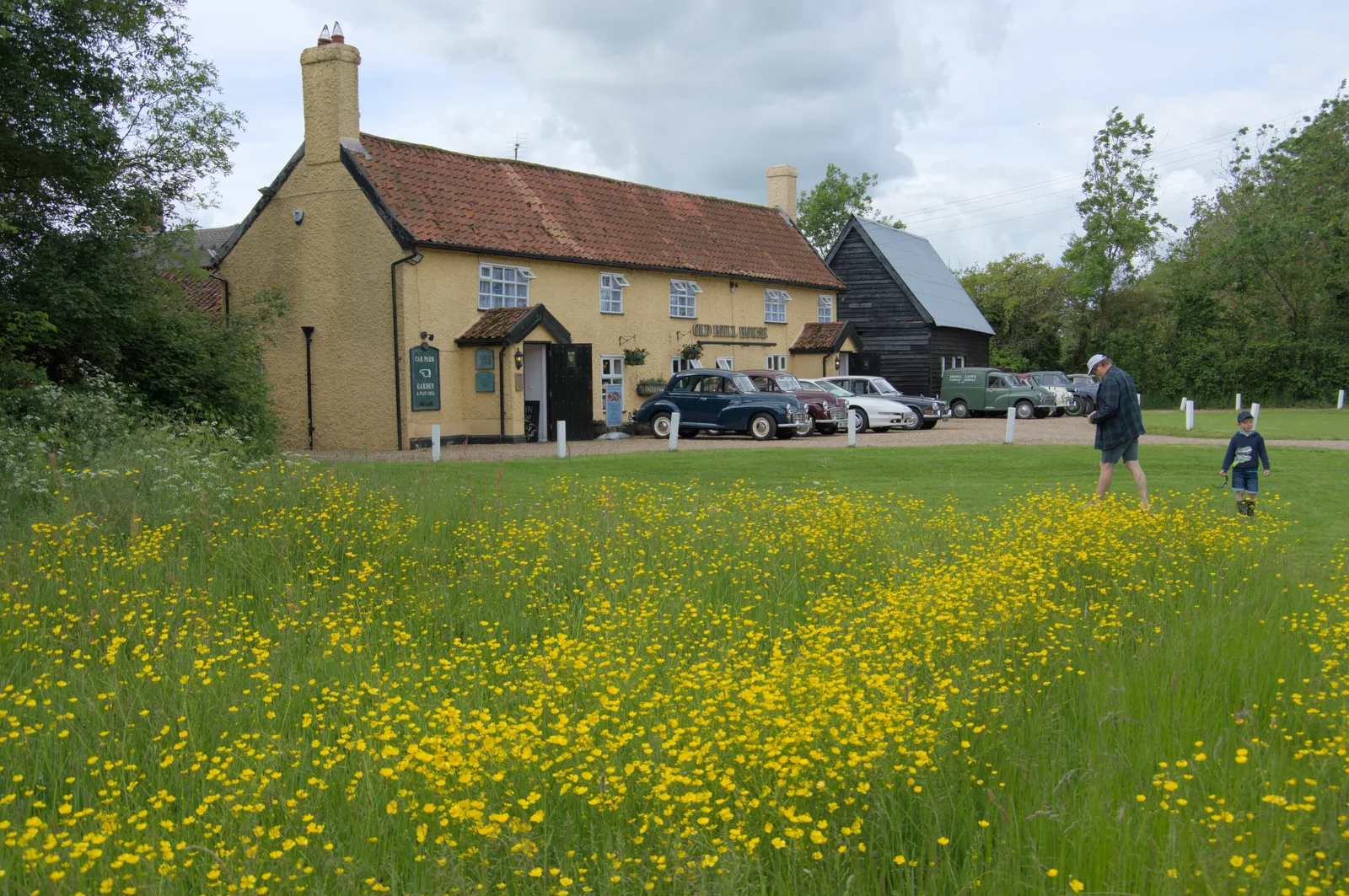 The Old Mill House and a carpet of buttercups, from Saxtead Mill, Framlingham Gala and Chips on the Beach, Aldeburgh - 27th May 2024