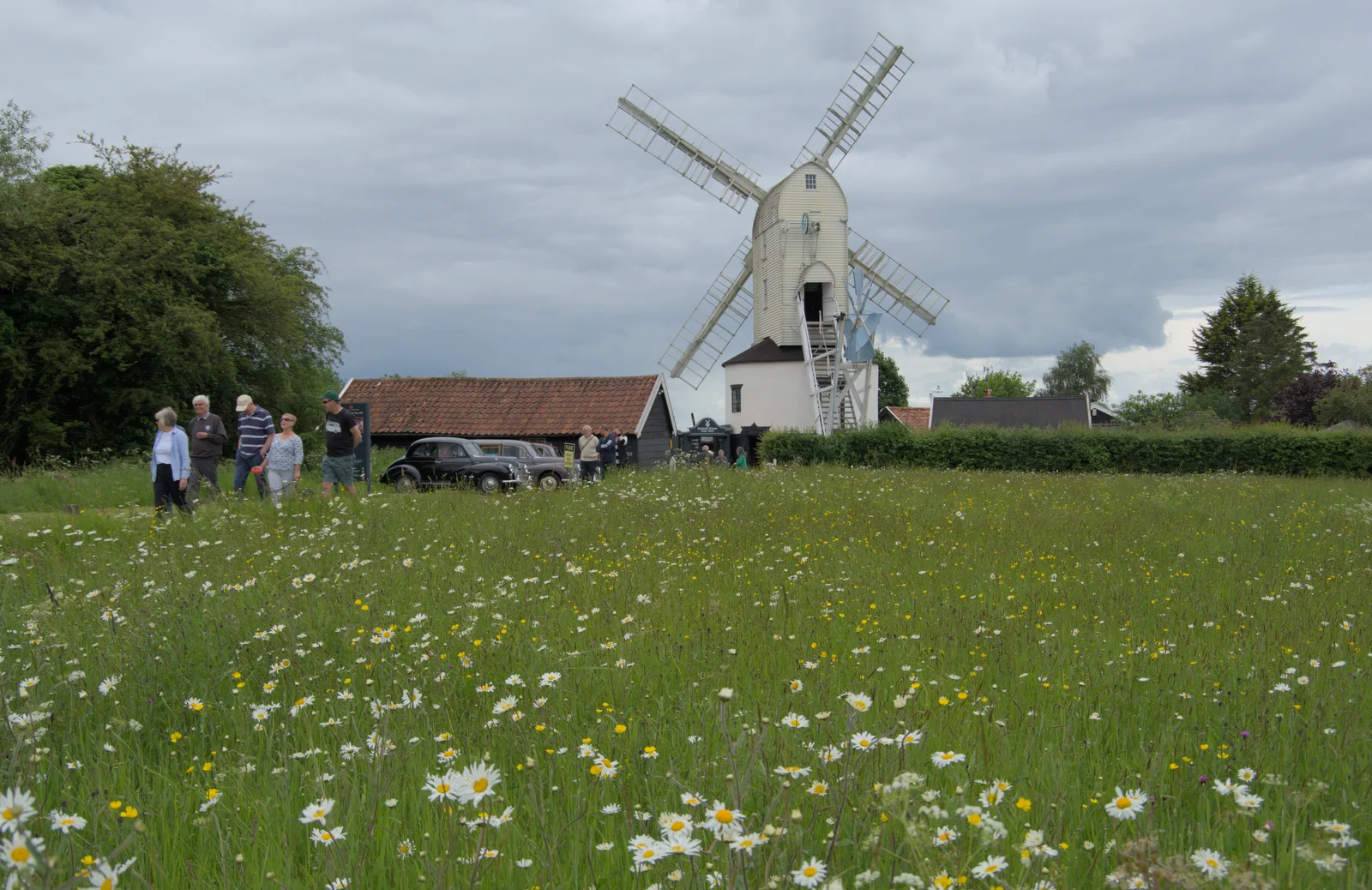 A view of the mill over a field of daisies, from Saxtead Mill, Framlingham Gala and Chips on the Beach, Aldeburgh - 27th May 2024