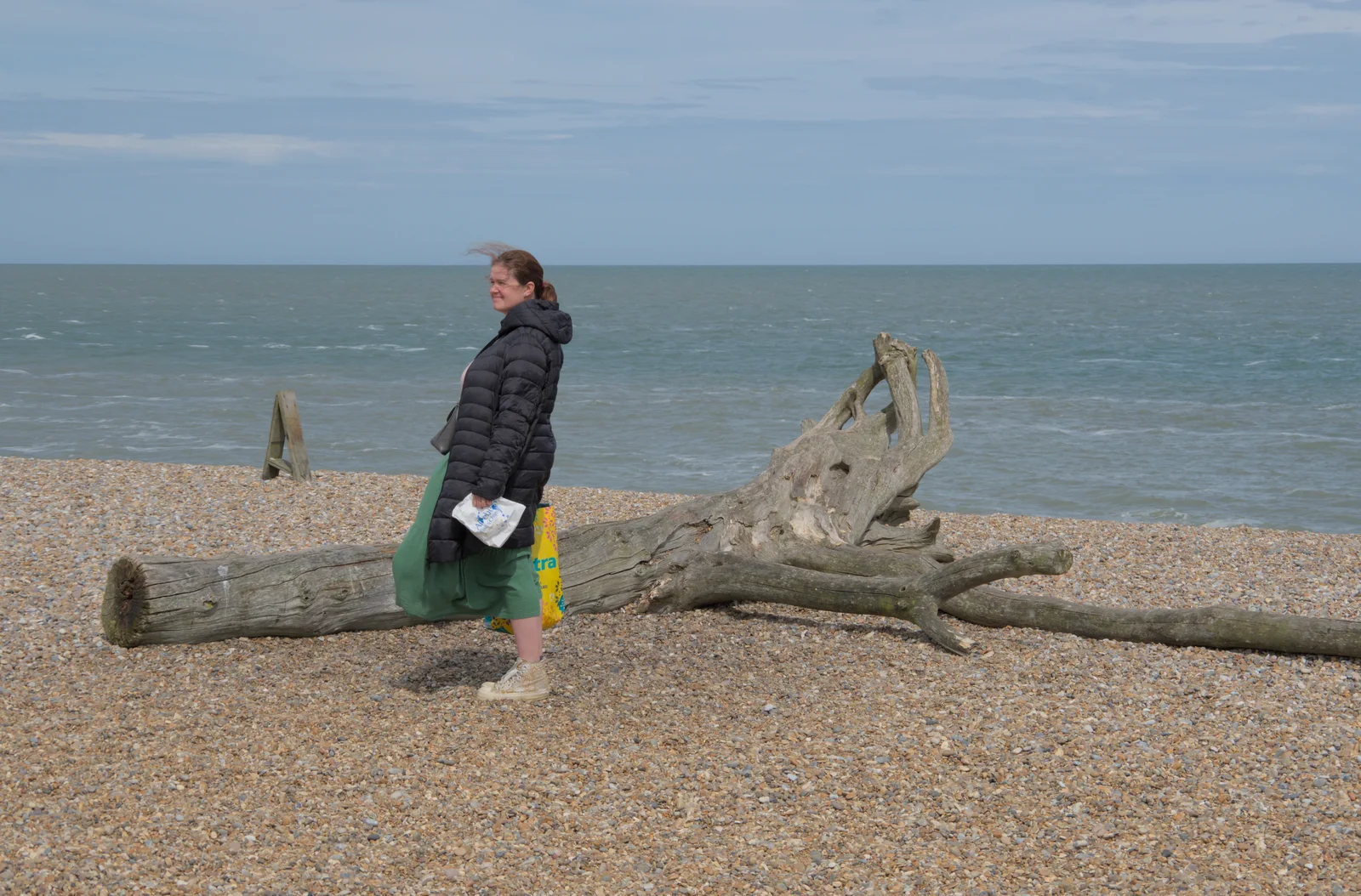 Isobel pauses by a washed-up tree trunk, from Saxtead Mill, Framlingham Gala and Chips on the Beach, Aldeburgh - 27th May 2024