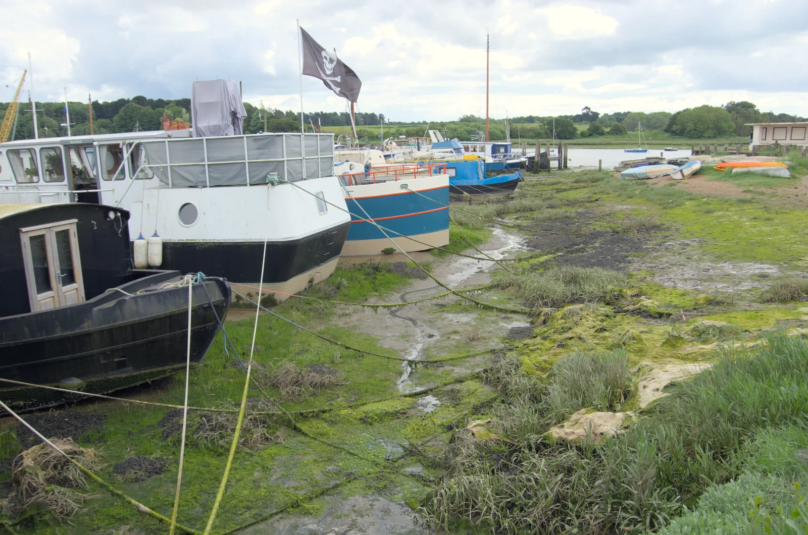 Green algae on the mud, from The Sutton Hoo Ship Reconstruction, The Longshed, Woodbridge - 29th May 2024