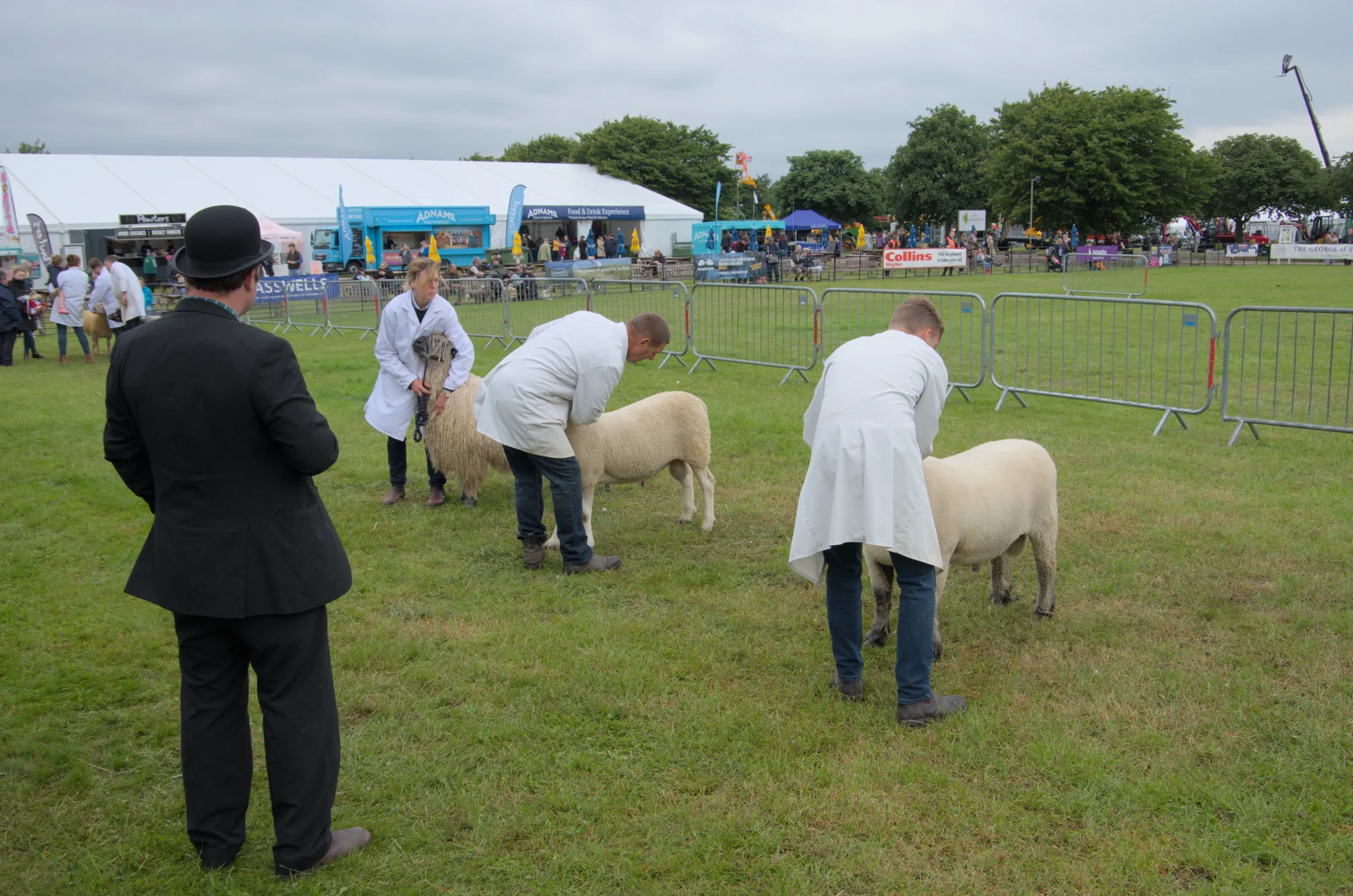 More sheep are judged, from Fred and the SYWO at the Suffolk Show, Trinity Park, Ipswich - 30th May 2024