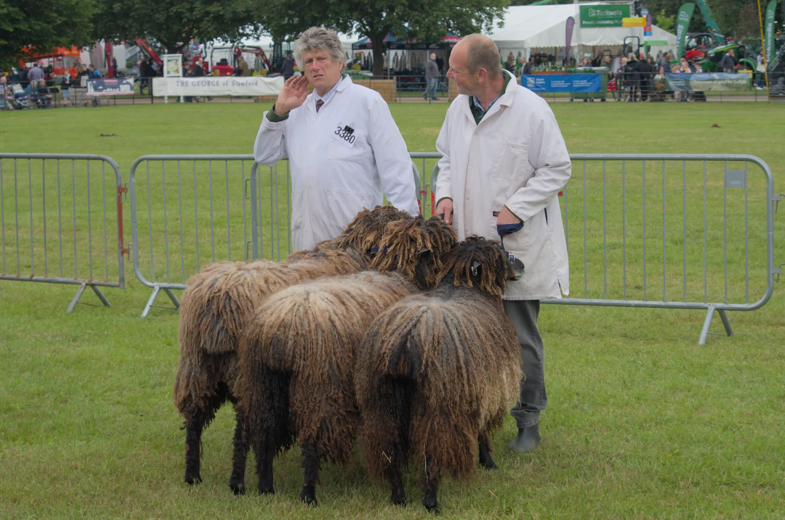 More comedy shaggy sheep, from Fred and the SYWO at the Suffolk Show, Trinity Park, Ipswich - 30th May 2024