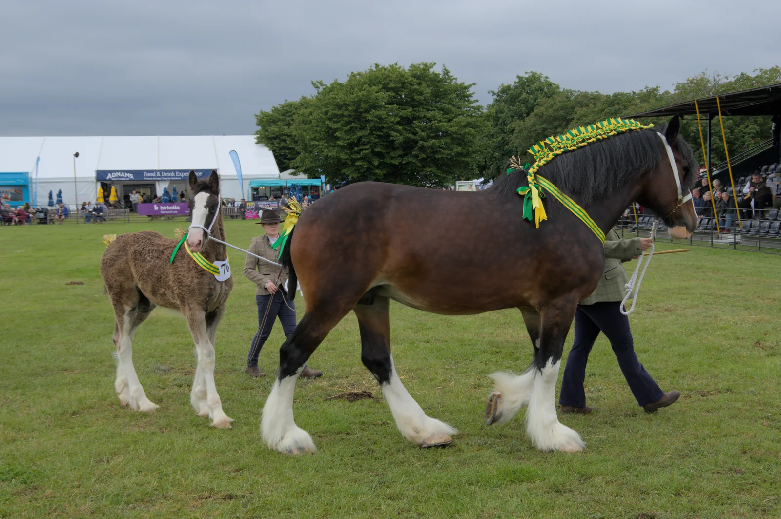 A heavy horse and its foal, from Fred and the SYWO at the Suffolk Show, Trinity Park, Ipswich - 30th May 2024