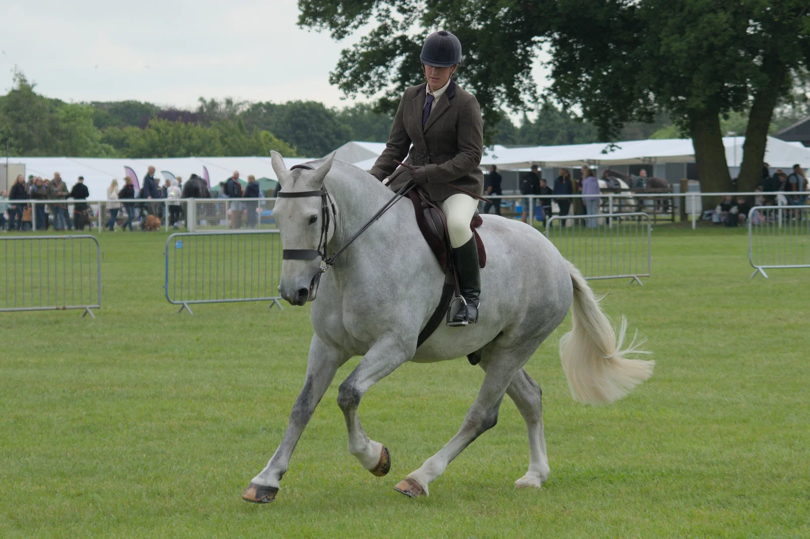 Another horse and rider , from Fred and the SYWO at the Suffolk Show, Trinity Park, Ipswich - 30th May 2024