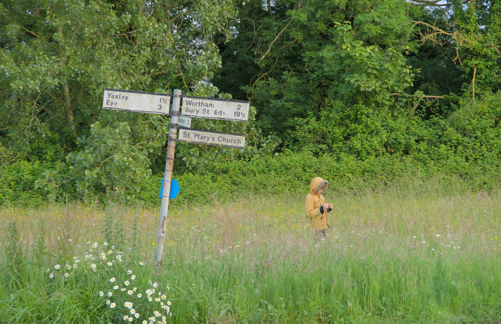 Harry's off doing his own thing in the long grass, from Sailing at the Lake, and the GSB at Mellis, Suffolk - 6th June 2024