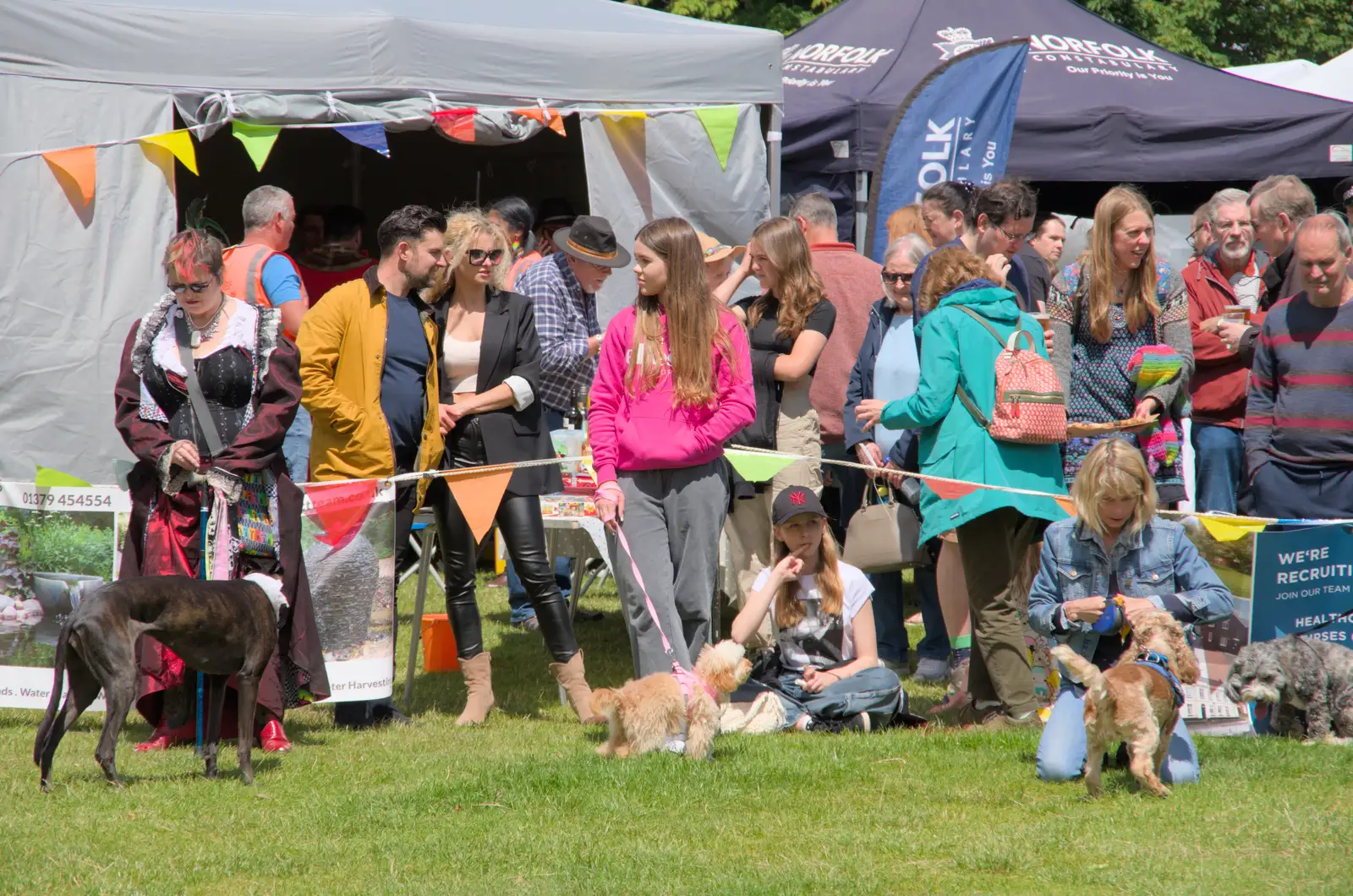 There's a dog show going on, from The Carnival Procession, Diss, Norfolk - 16th June 2024