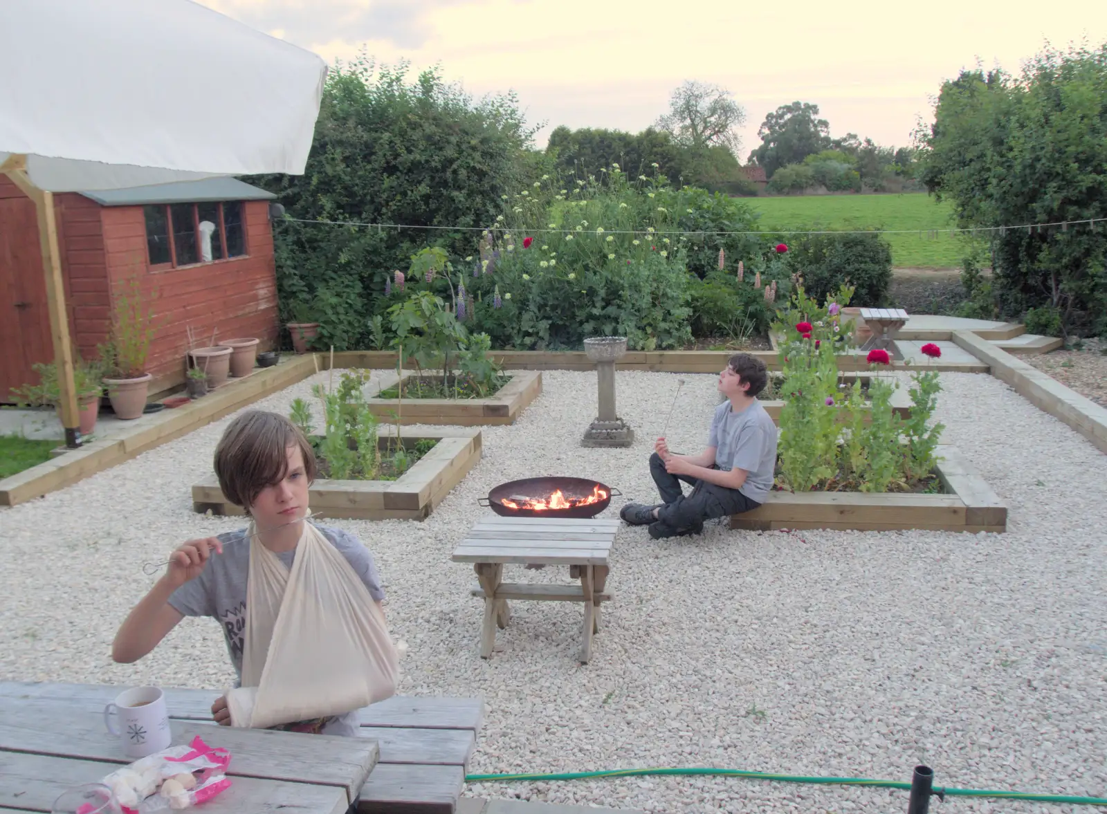 Harry's marshmallow has dropped off, from The BSCC at Redgrave, Noctilucent Clouds and a Village Hall Party, Brome - 29th June 2024