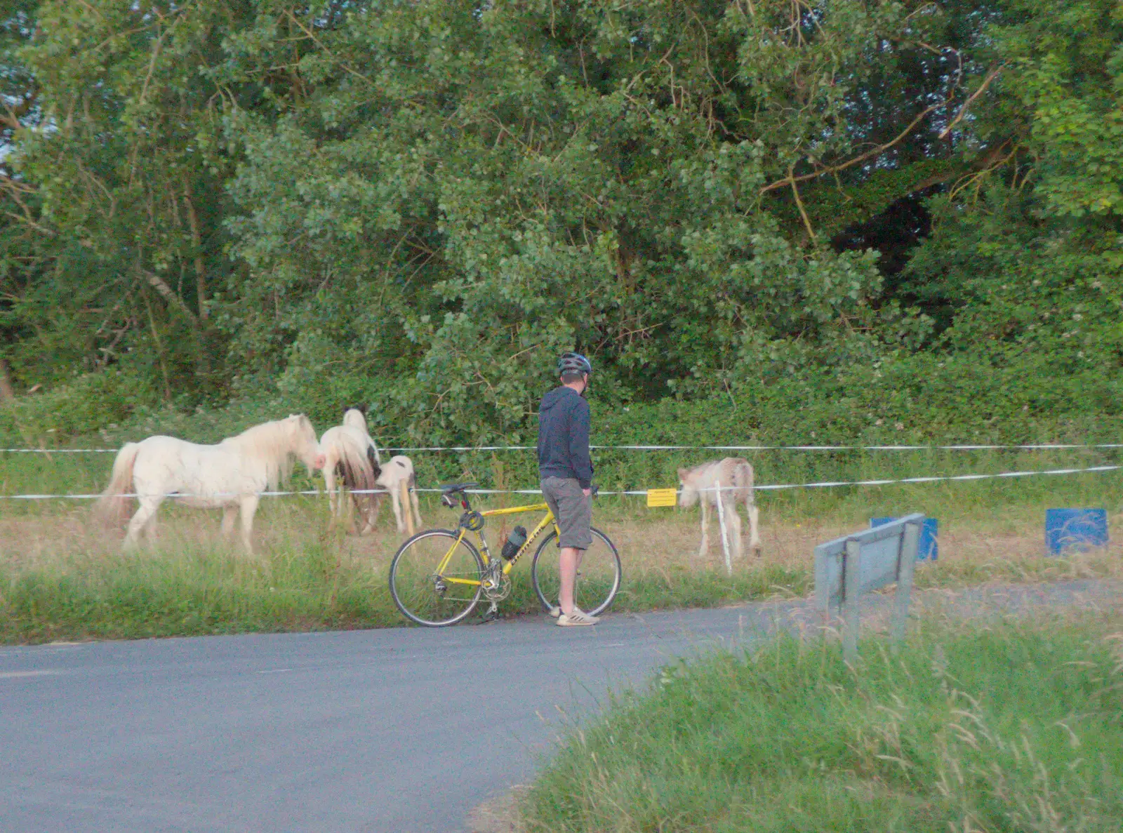 The Boy Phil visits the ponies, from The BSCC at Redgrave, Noctilucent Clouds and a Village Hall Party, Brome - 29th June 2024