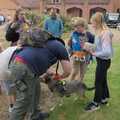 Gizmo the dog gets a rosette, The Brome and Oakley Village Fête, Brome Hall, Suffolk - 13th July 2024