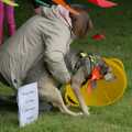 Gizmo really doesn't want to comply, The Brome and Oakley Village Fête, Brome Hall, Suffolk - 13th July 2024