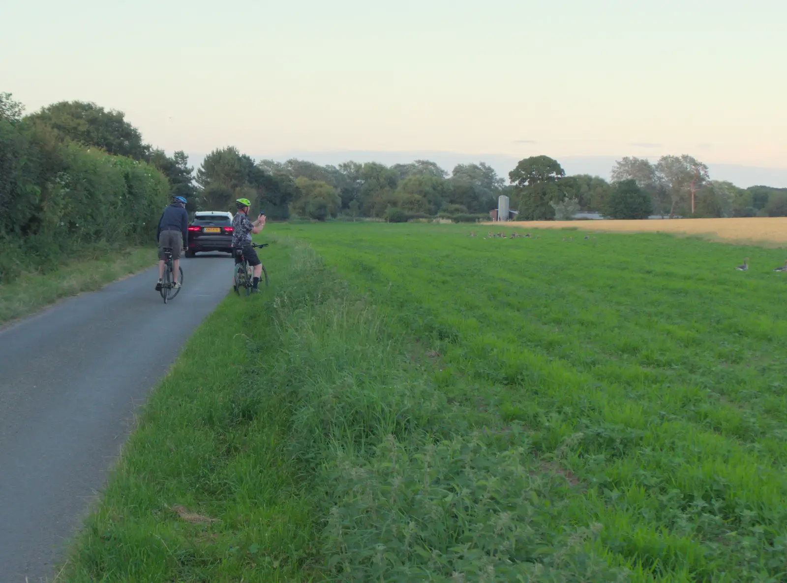 Gaz gets a photo of some geese in a field, from The BSCC at Gissing Crown and Thelnetham White Horse - 18th July 2024