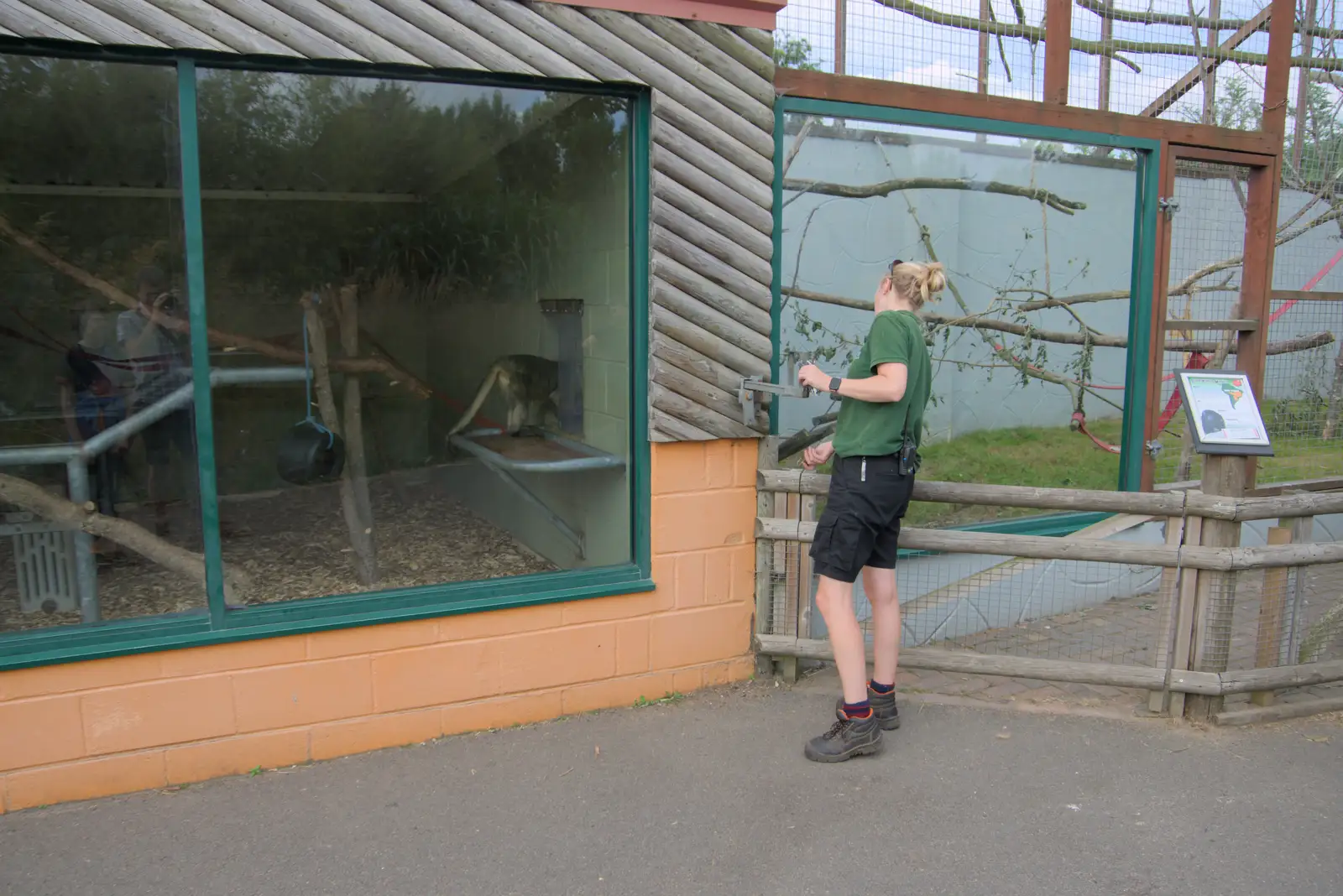 A keeper lets the howler monkeys out, from Harry at the Zoo, Banham, Norfolk - 28th July 2024