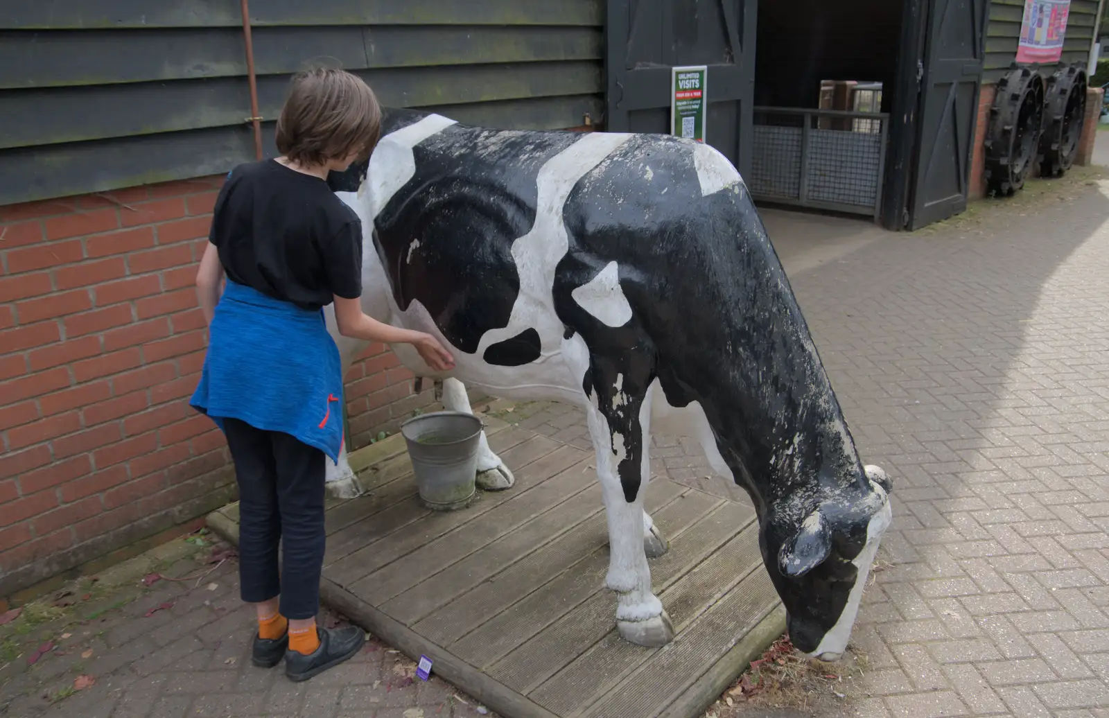 Harry checks over the old cow, from Harry at the Zoo, Banham, Norfolk - 28th July 2024