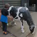 Harry checks over the old cow, Harry at the Zoo, Banham, Norfolk - 28th July 2024