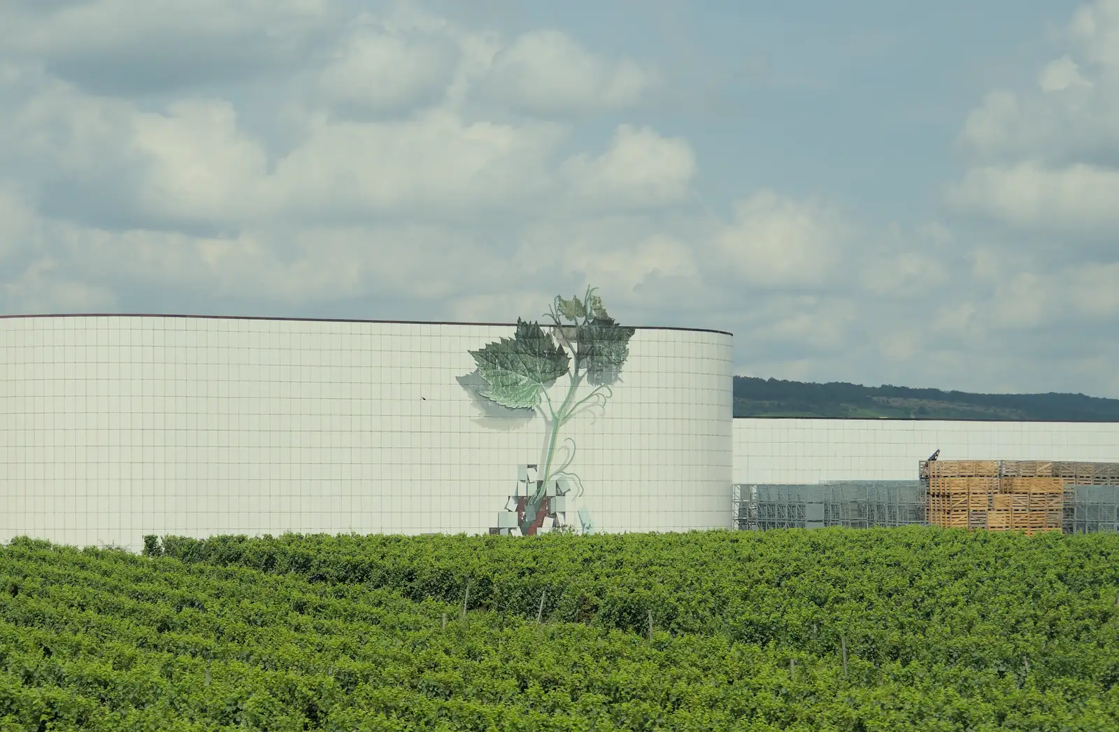 We're deep into wine country near Dijon, from An Olympic Road Trip from Diss to Marseille, France - 3rd August 2024