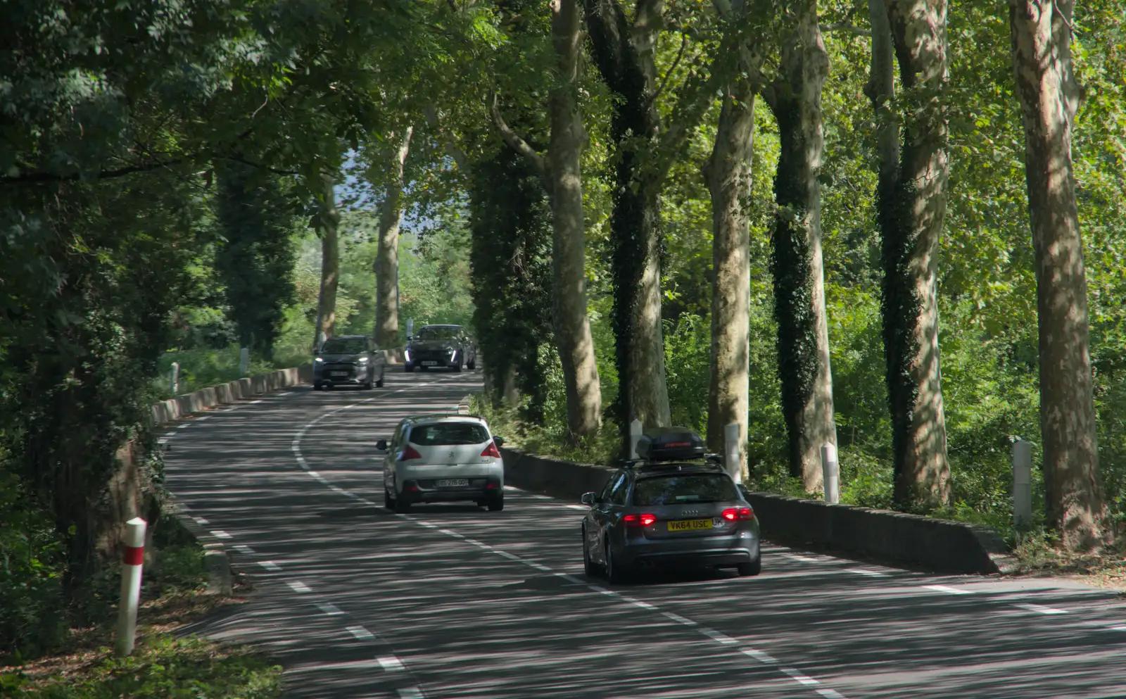 We drive throuigh a nice tree tunnel, from An Olympic Road Trip from Diss to Marseille, France - 3rd August 2024