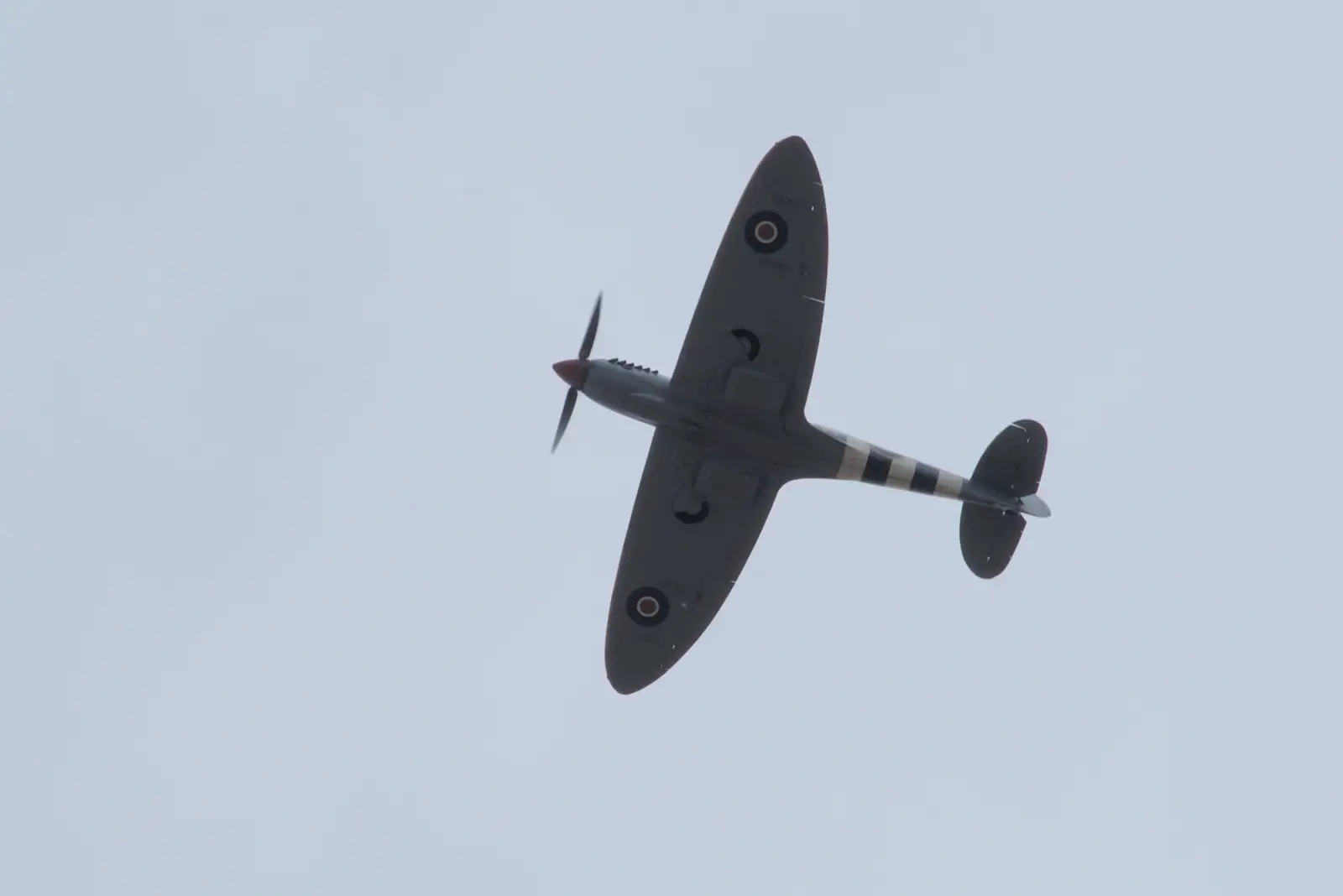 The iconic silhouette of a passing Spitfire, from Flying in a Dragon Rapide, IWM Duxford, Cambridgeshire - 17th August 2024