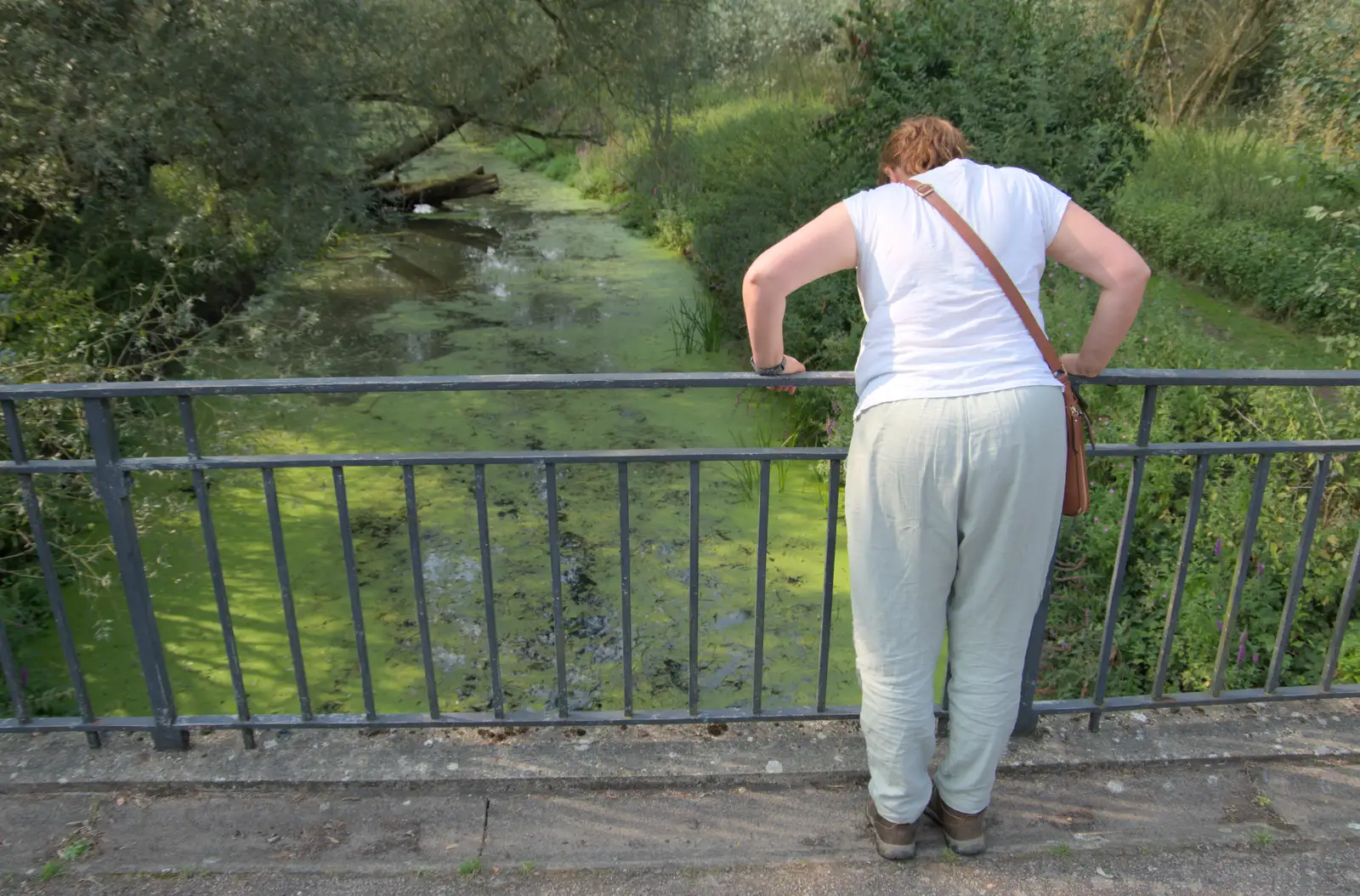 We look at the green floating on the Waveney, from A Trip to Ickworth House with Sis, Horringer - 19th August 2024