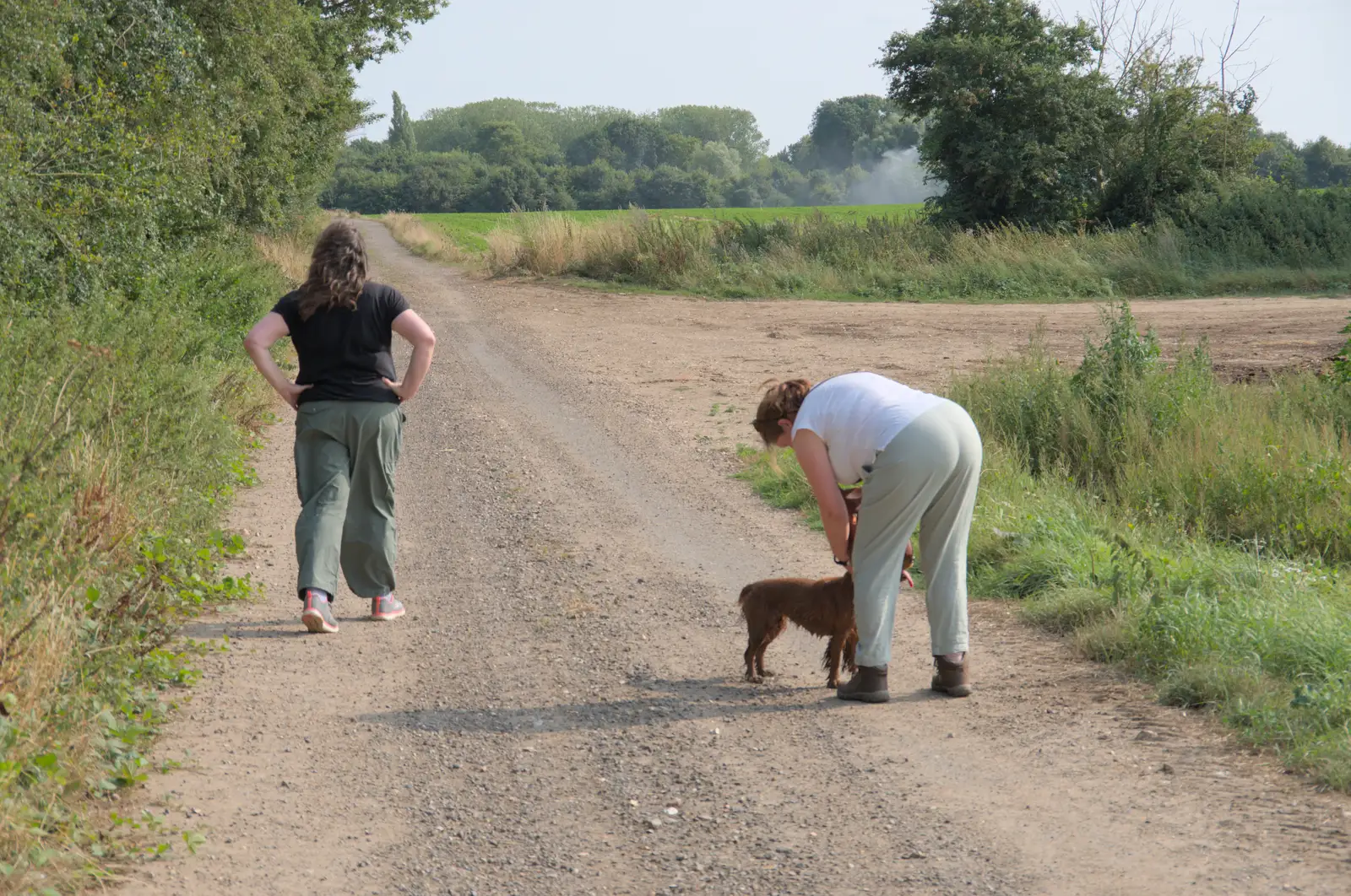 Jules lets Luna off the lead for a bit, from A Trip to Ickworth House with Sis, Horringer - 19th August 2024