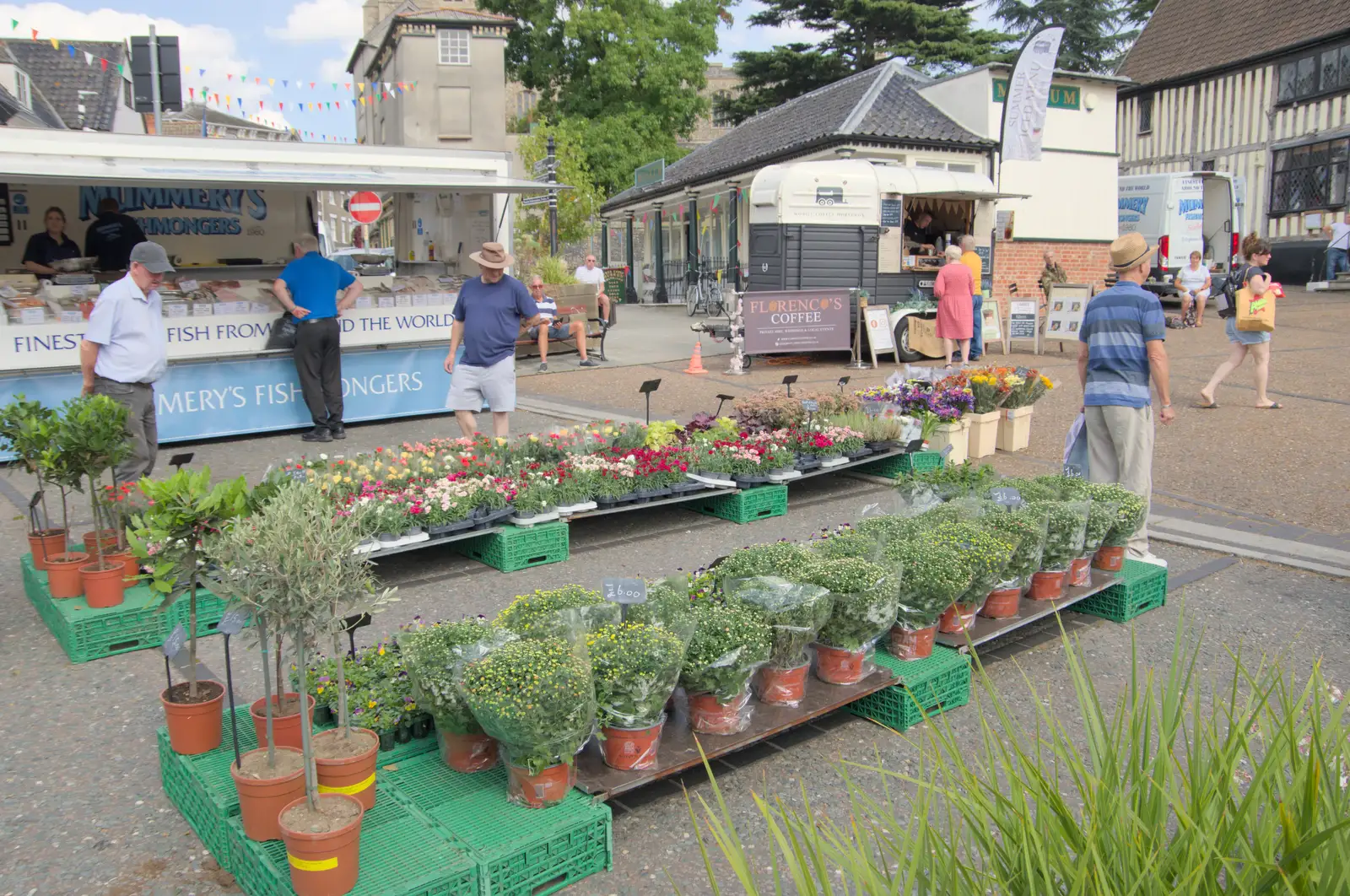 Plants for sale in the market, from The Death of the Feather Factory, Diss, Norfolk - 30th August 2024