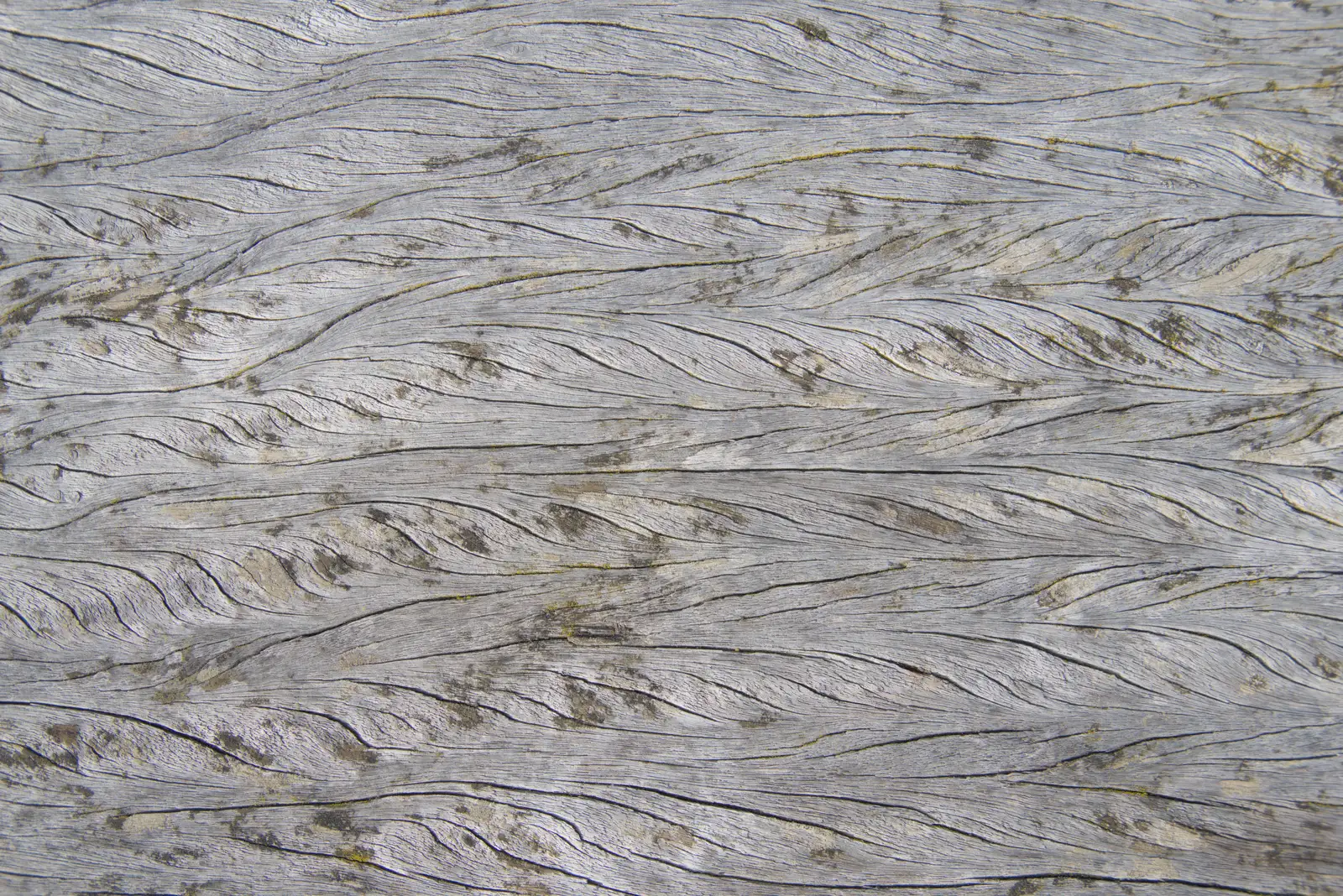 An interesting wood grain in the giant table, from A Protest on the Beach, Aldeburgh, Suffolk - 1st September 2024