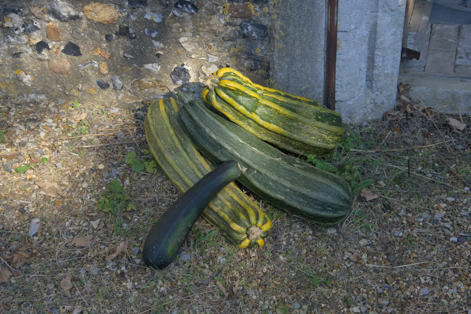 Giant marrows outside the church, from Diss Heritage Transport Festival and the GSB at Wickham Skeith - 22nd September 2024