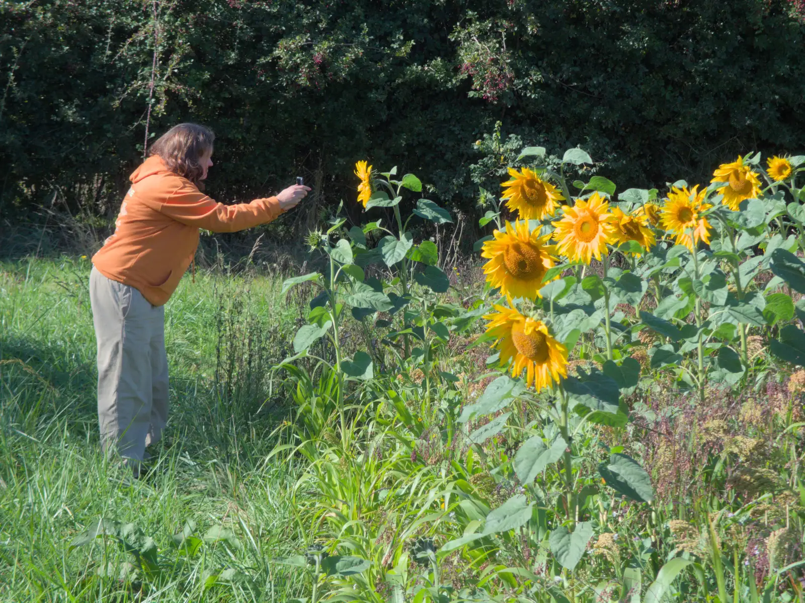 Isobel gets a photo, from Sunflowers, A Quiz at Westhorpe and a GSB Duck Race, Eye - 29th September 2024