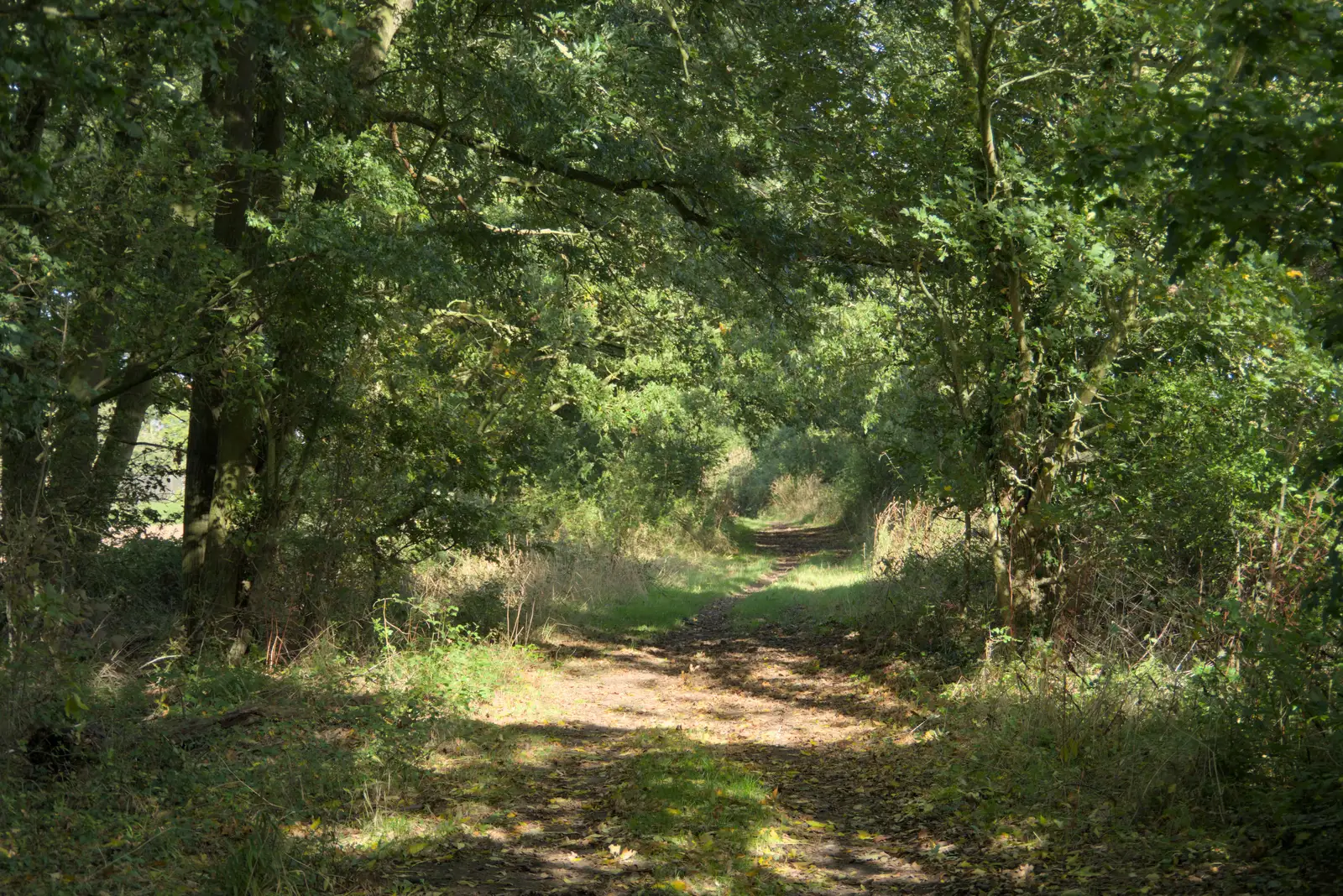 Judas Lane, between Thrandeston and Mellis, from A Walk to the Railway Tavern, Mellis, Suffolk - 13th October 2024