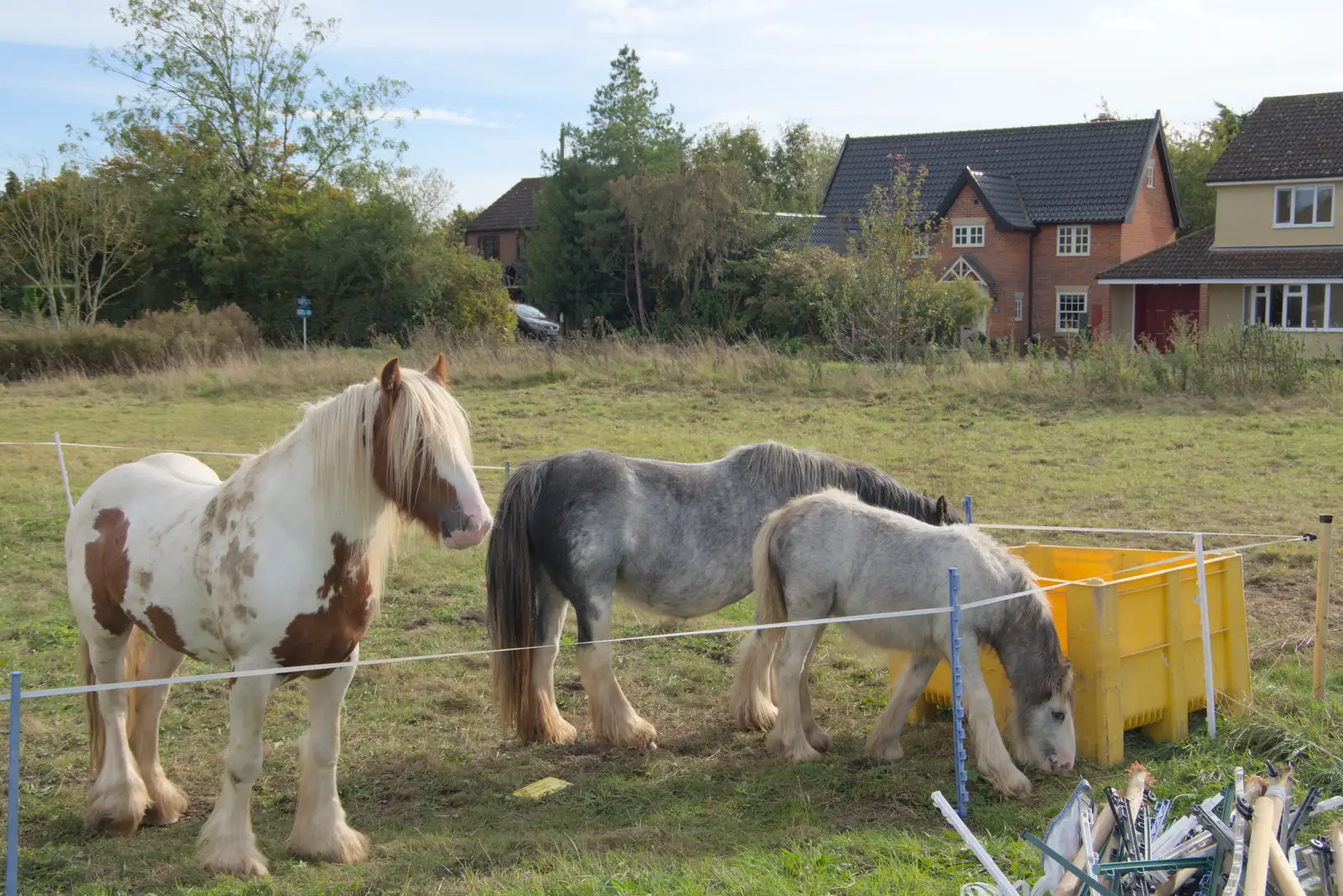 Gypsy nags on Mellis common, from A Walk to the Railway Tavern, Mellis, Suffolk - 13th October 2024