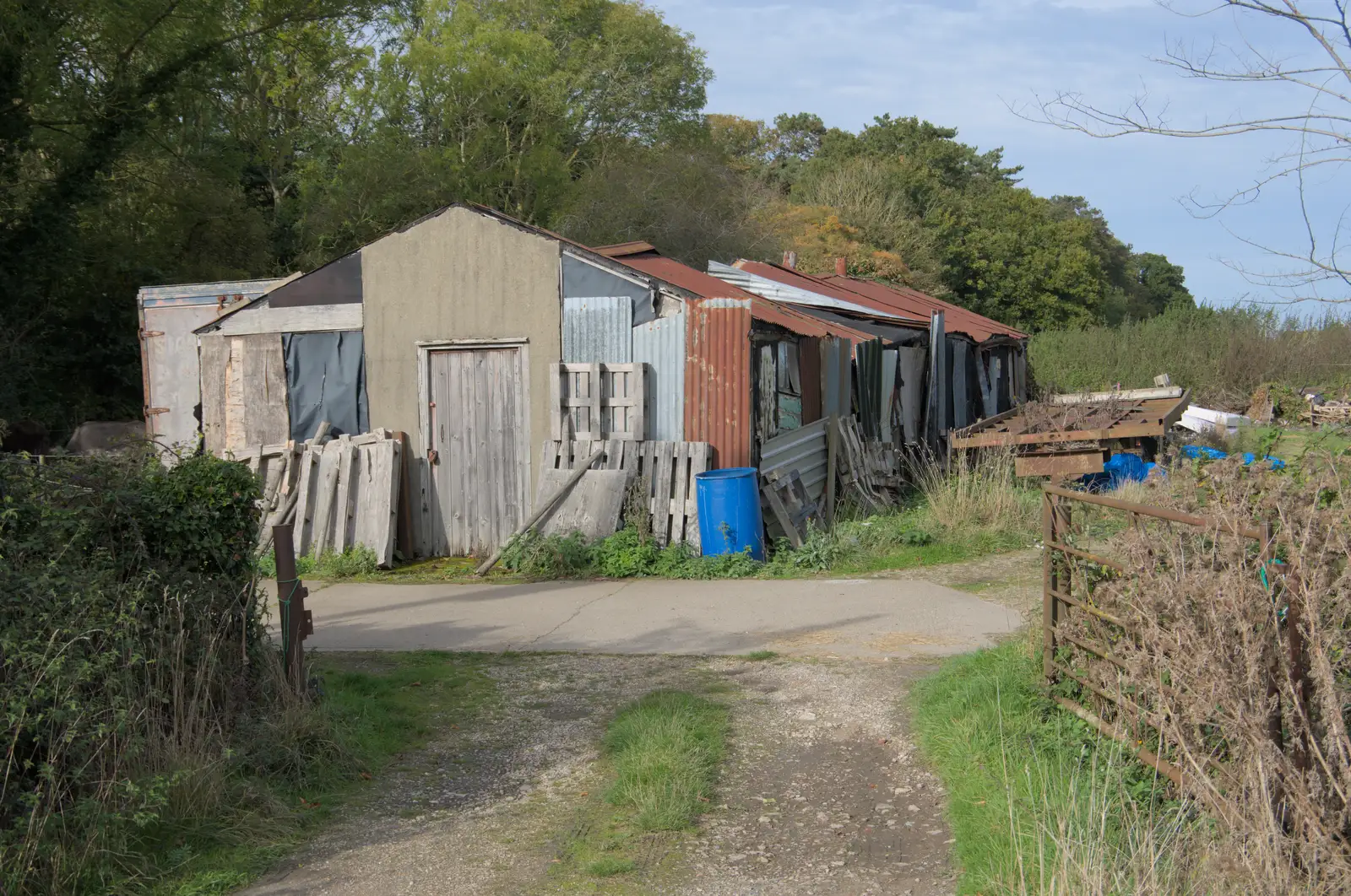 The ramshackle shed on the edge of Mellis common, from A Walk to the Railway Tavern, Mellis, Suffolk - 13th October 2024